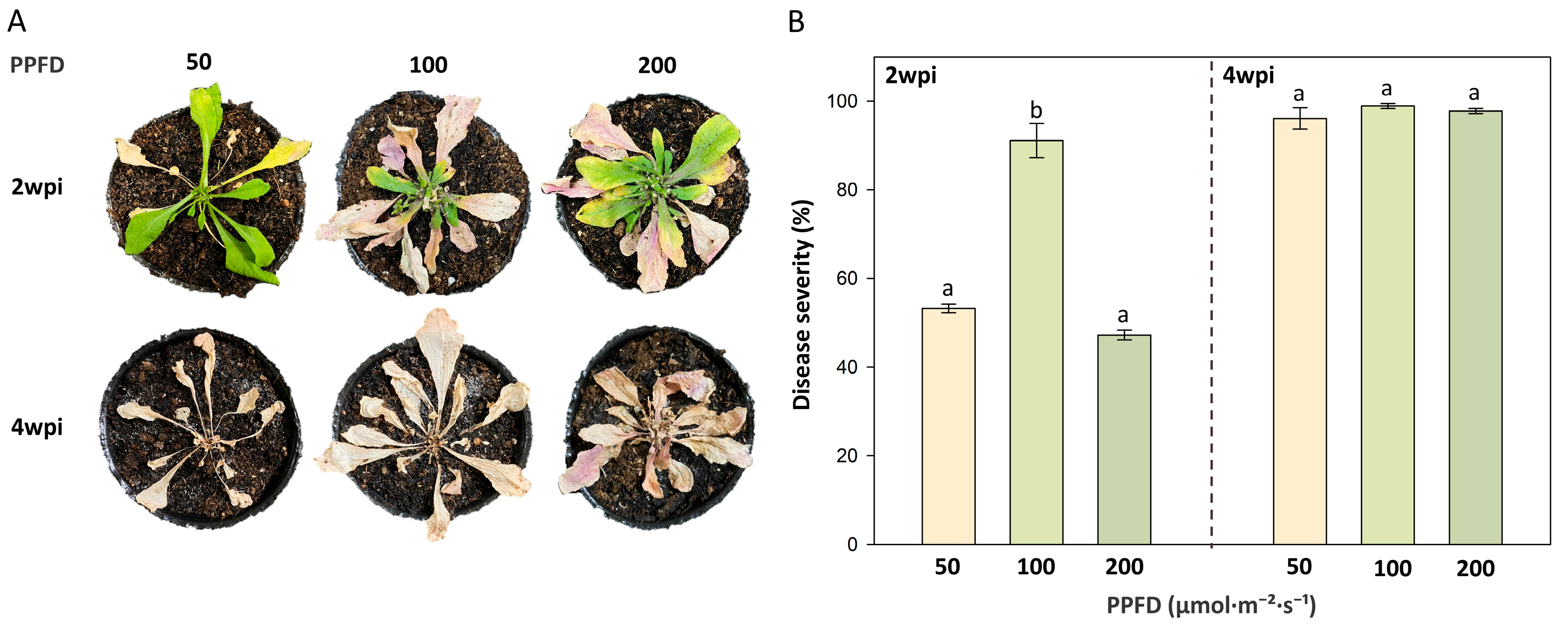 Agriculture 15 02110 g001 Agriculture 15 02110 g001