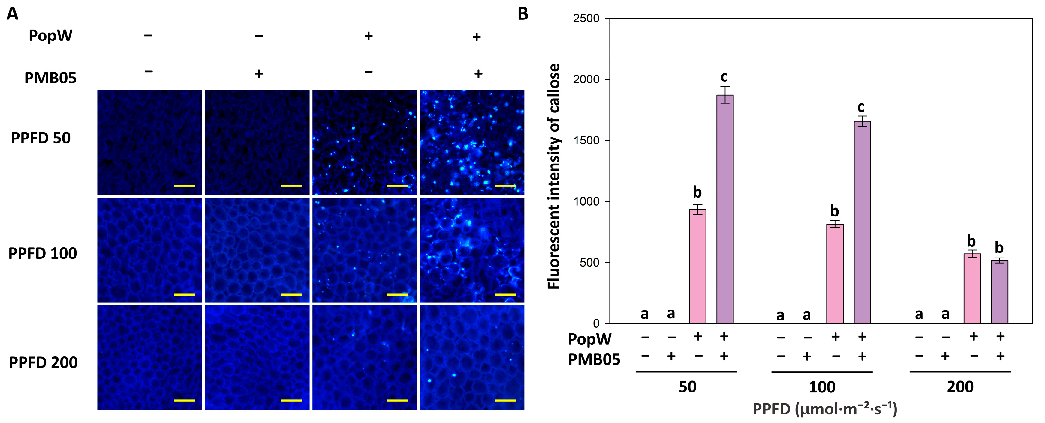 Agriculture 15 02110 g003 Agriculture 15 02110 g003
