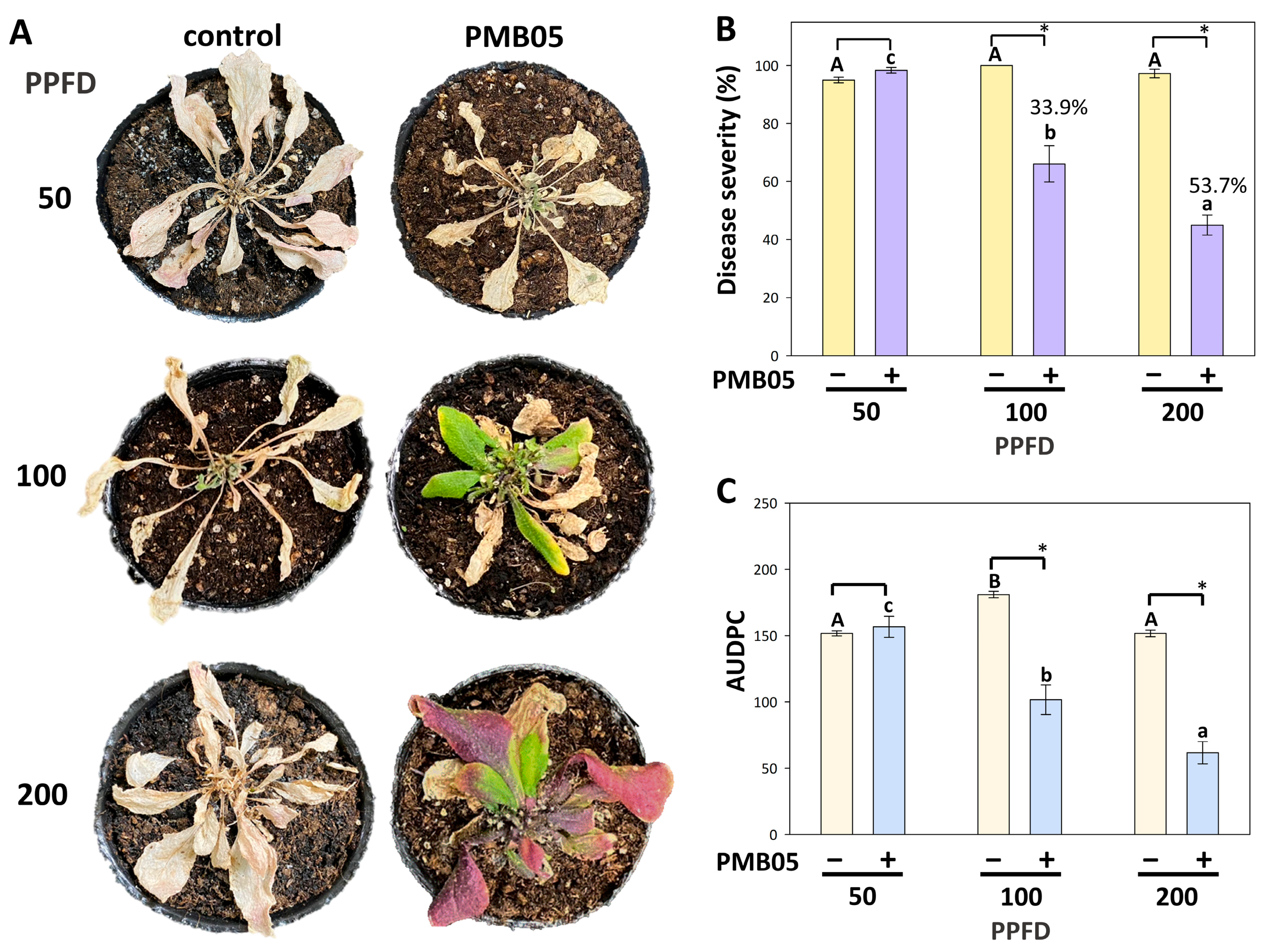 Agriculture 15 02110 g004 Agriculture 15 02110 g004