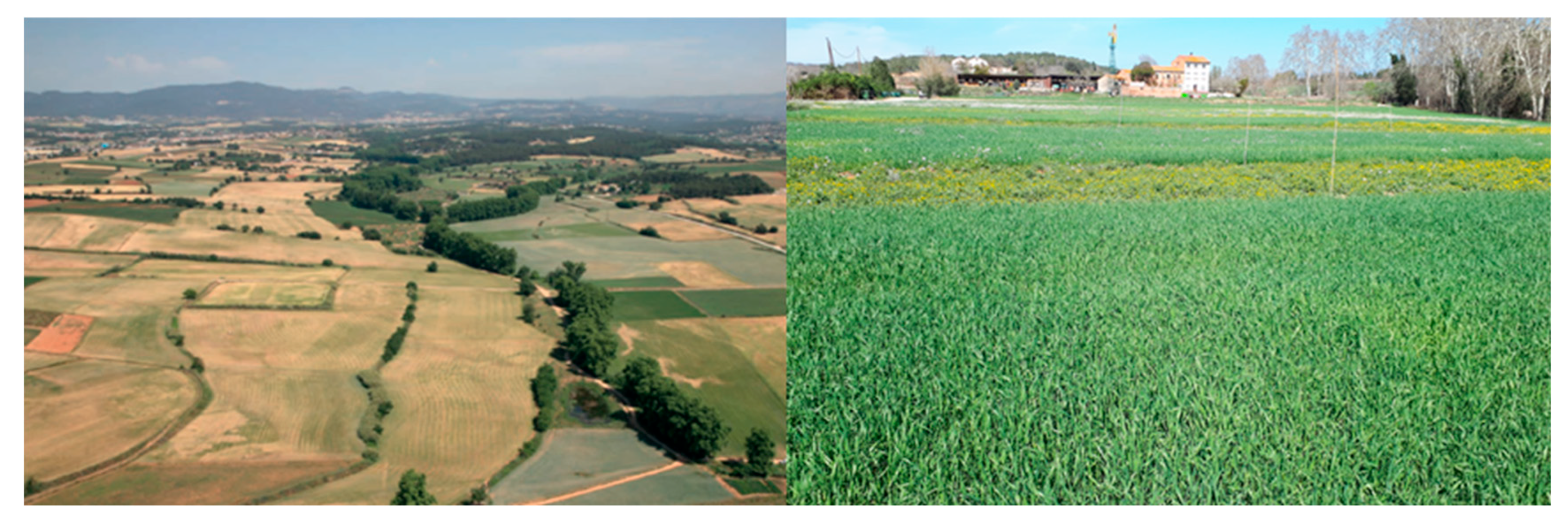 Agriculture 15 02117 g0a1 Agriculture 15 02117 g0a1