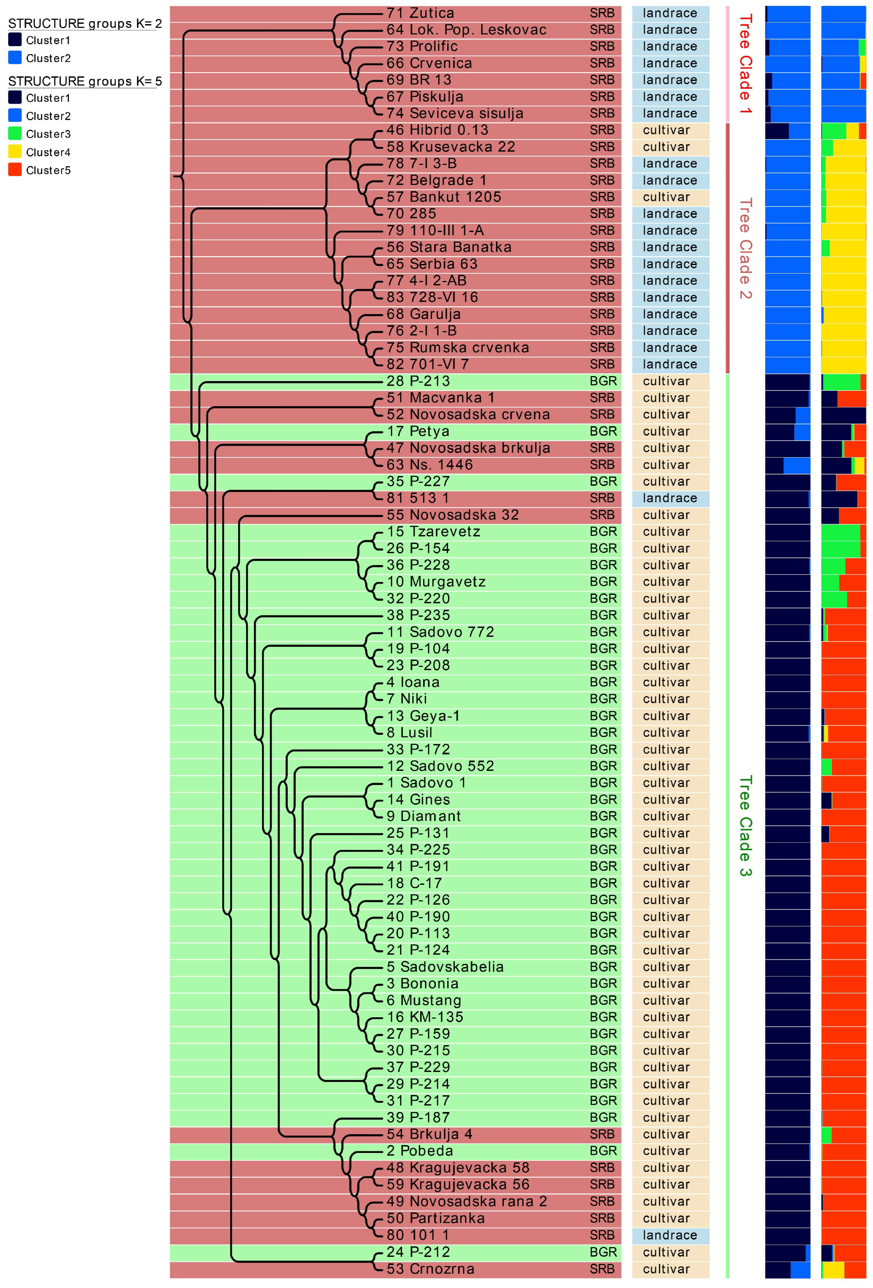 Agriculture 15 02127 g004