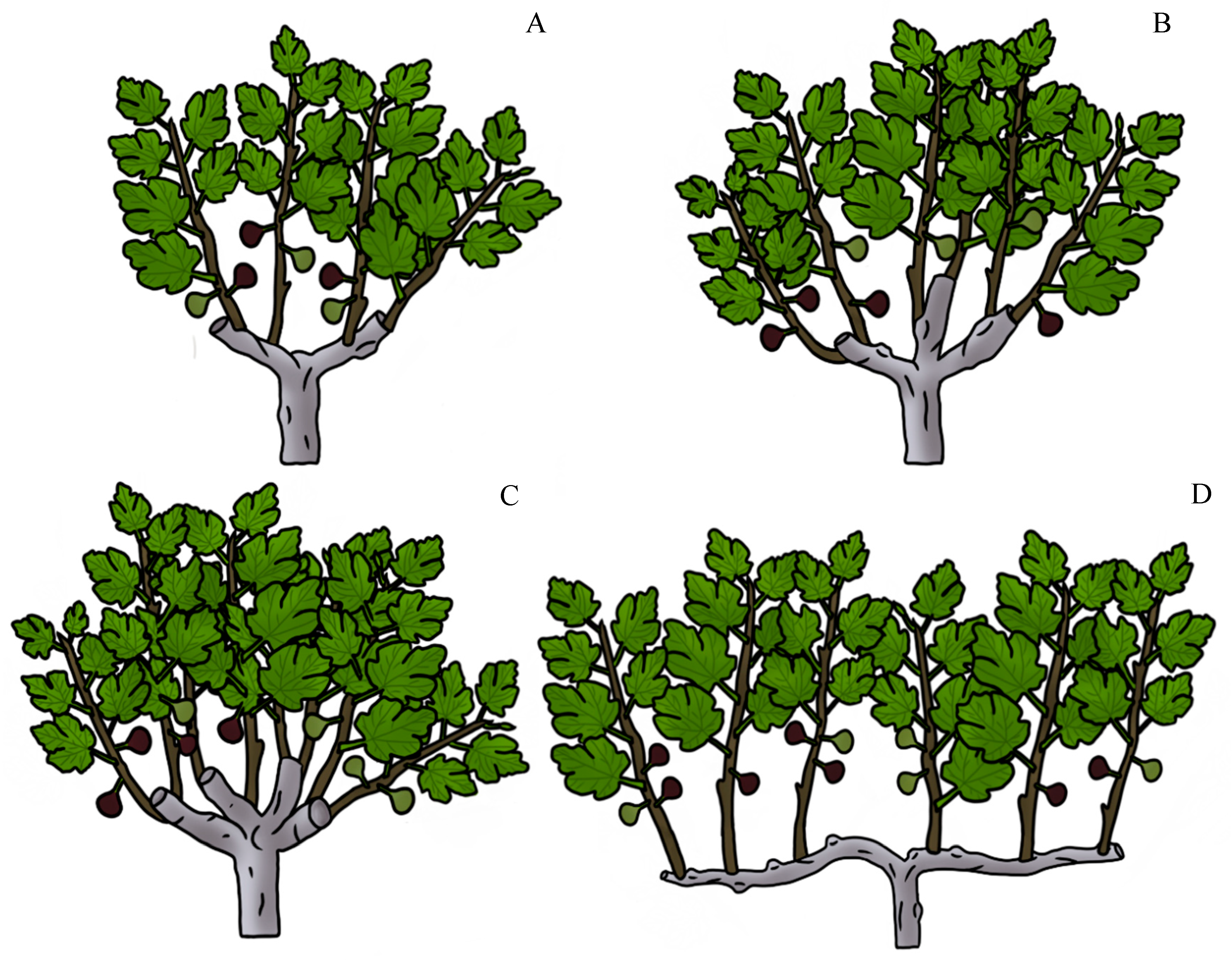 Agriculture 15 02128 g002