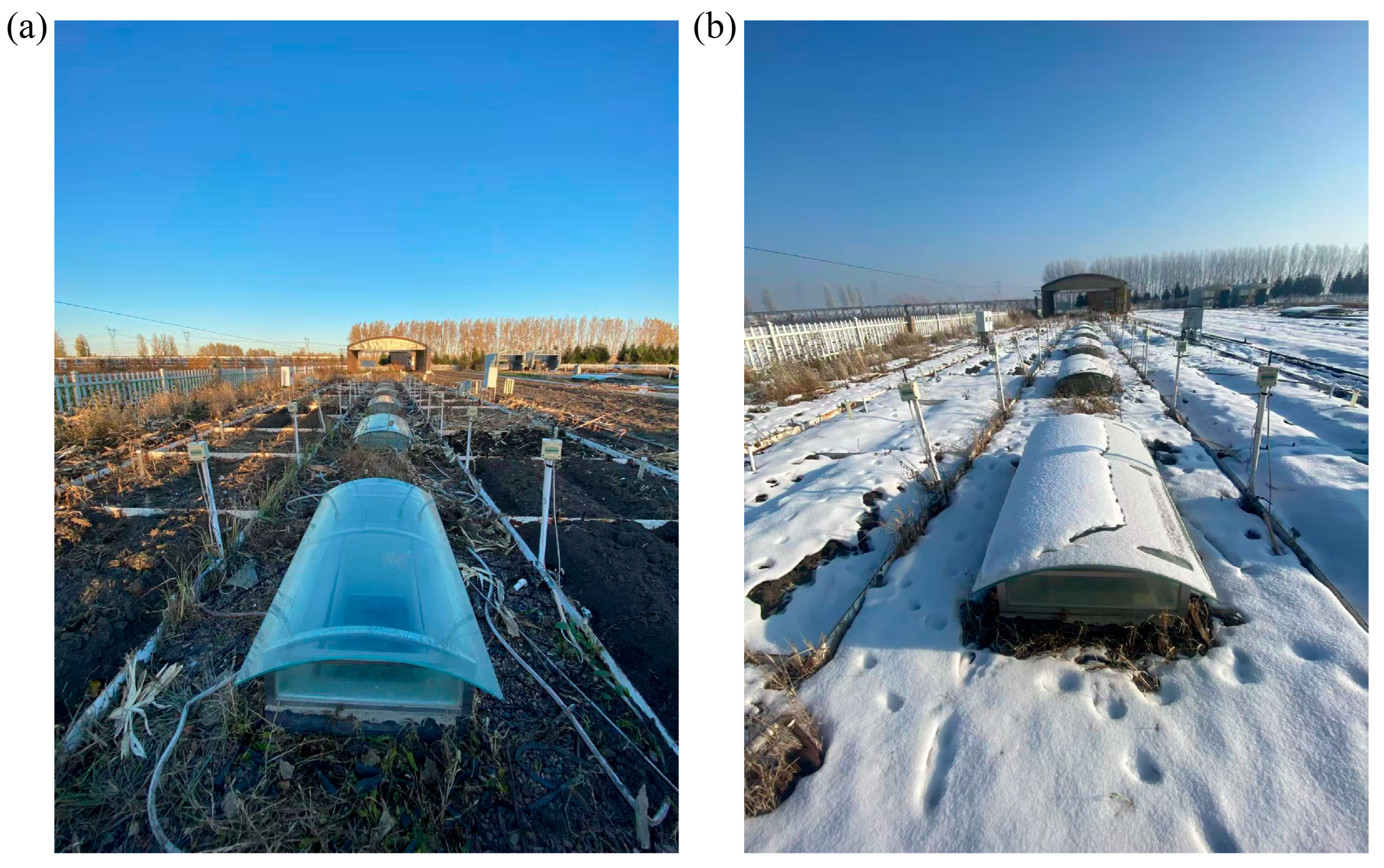 Agriculture 15 02132 g001 Agriculture 15 02132 g001