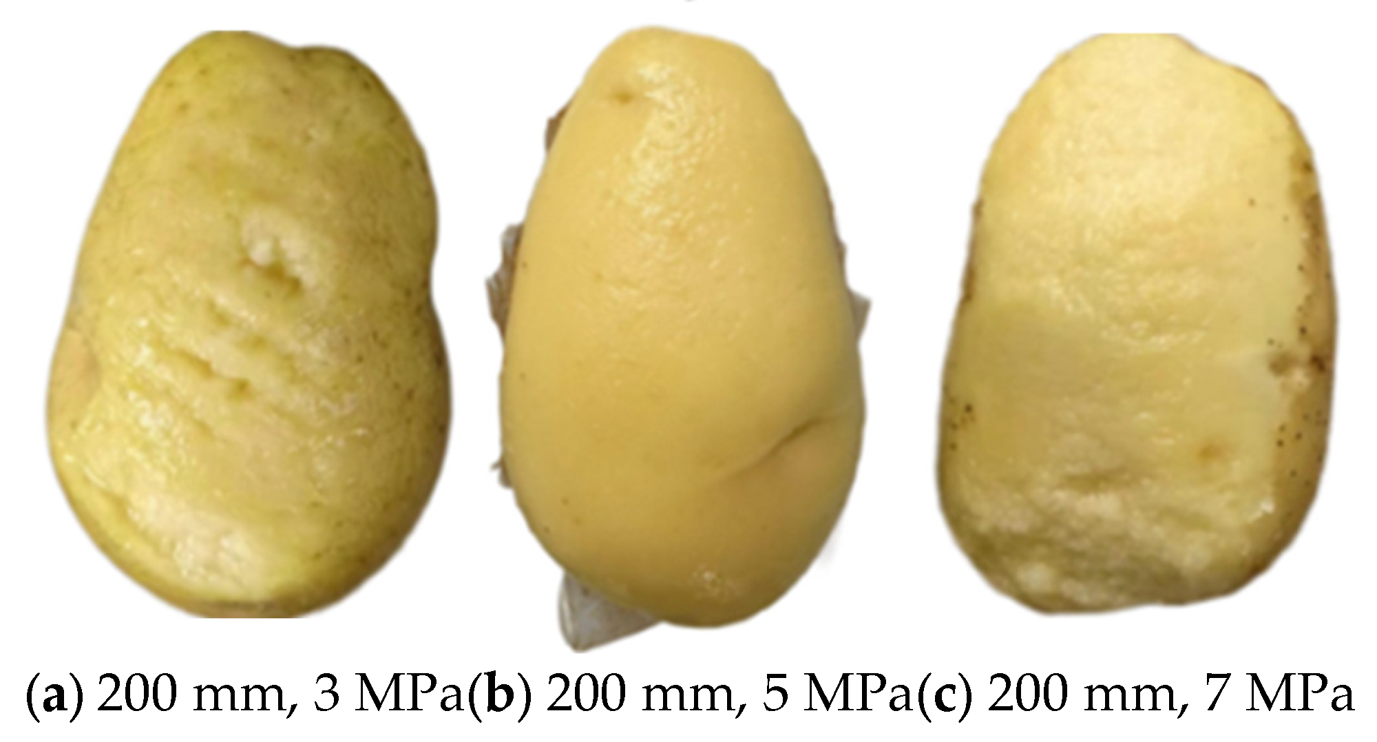 Agriculture 15 02136 g022