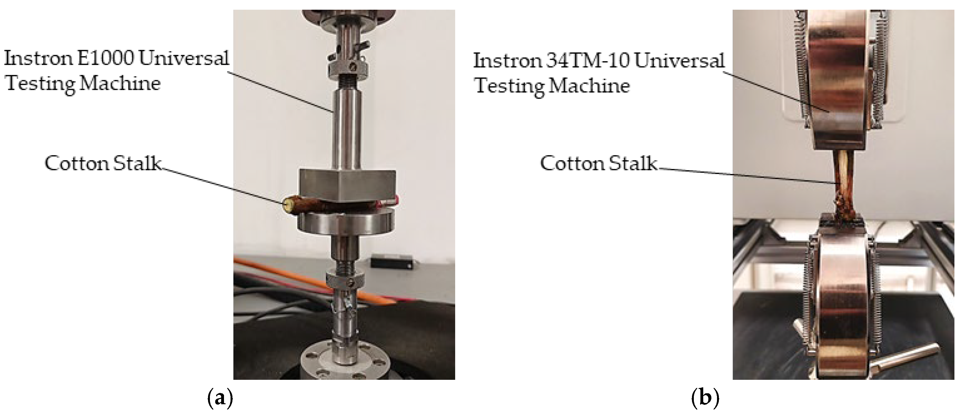 Agriculture 15 02137 g001 Agriculture 15 02137 g001