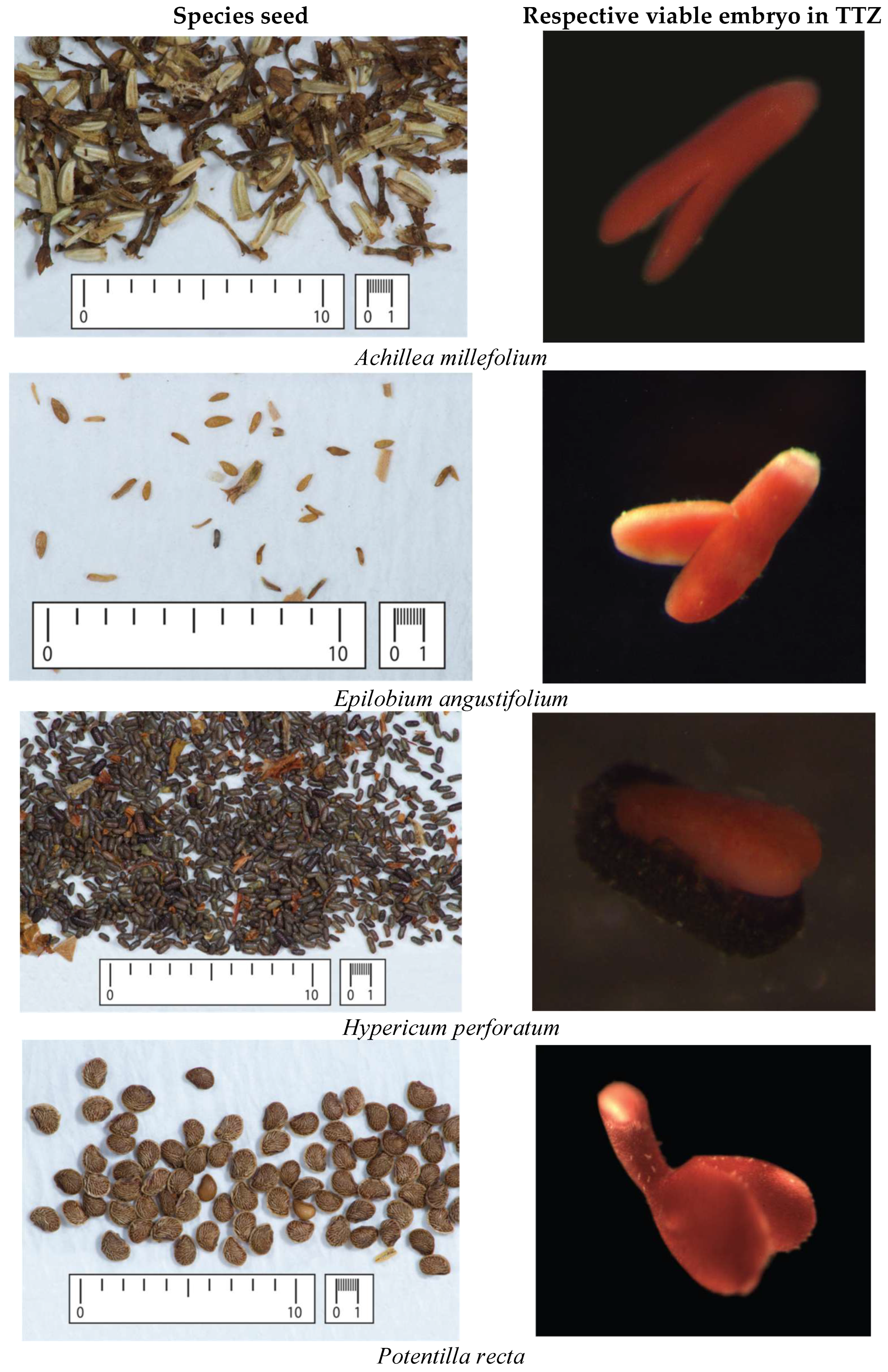 Agriculture 15 02139 g001a Agriculture 15 02139 g001a