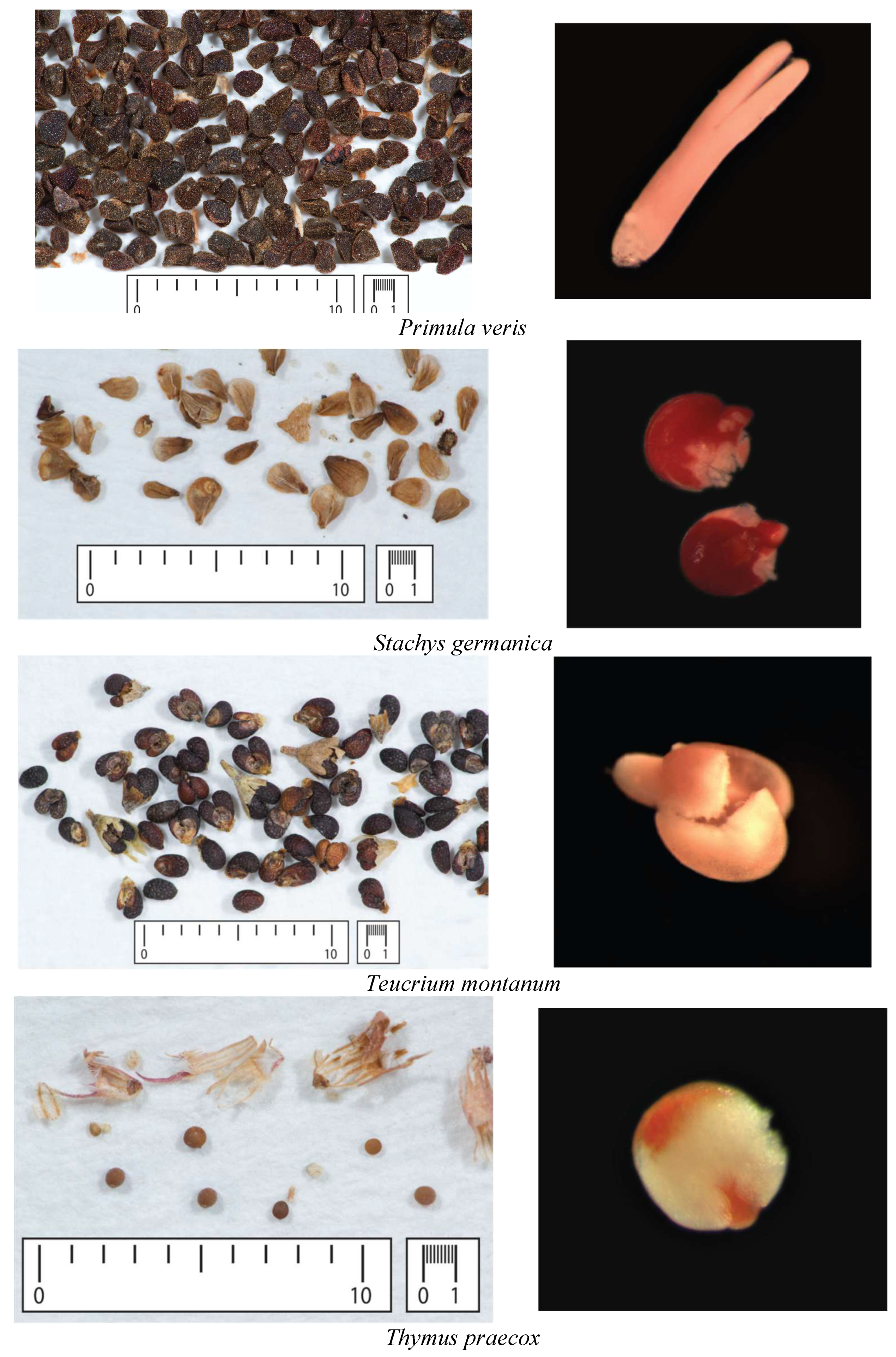 Agriculture 15 02139 g001b Agriculture 15 02139 g001b