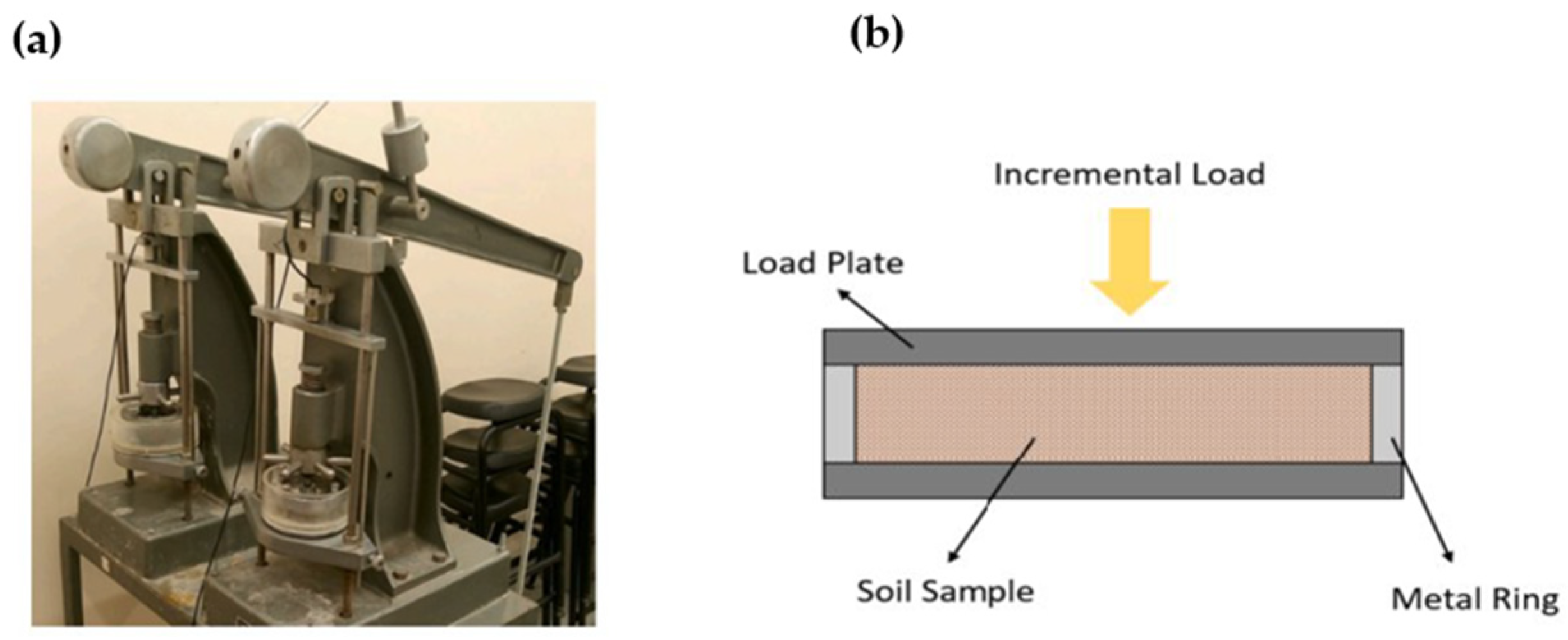 Agriculture 15 02142 g004