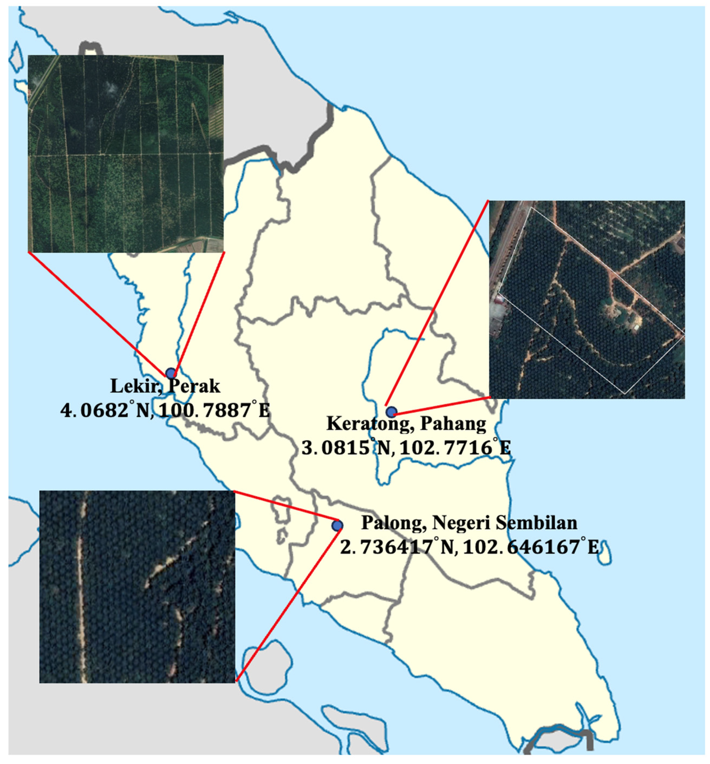 Agriculture 15 02149 g001 Agriculture 15 02149 g001