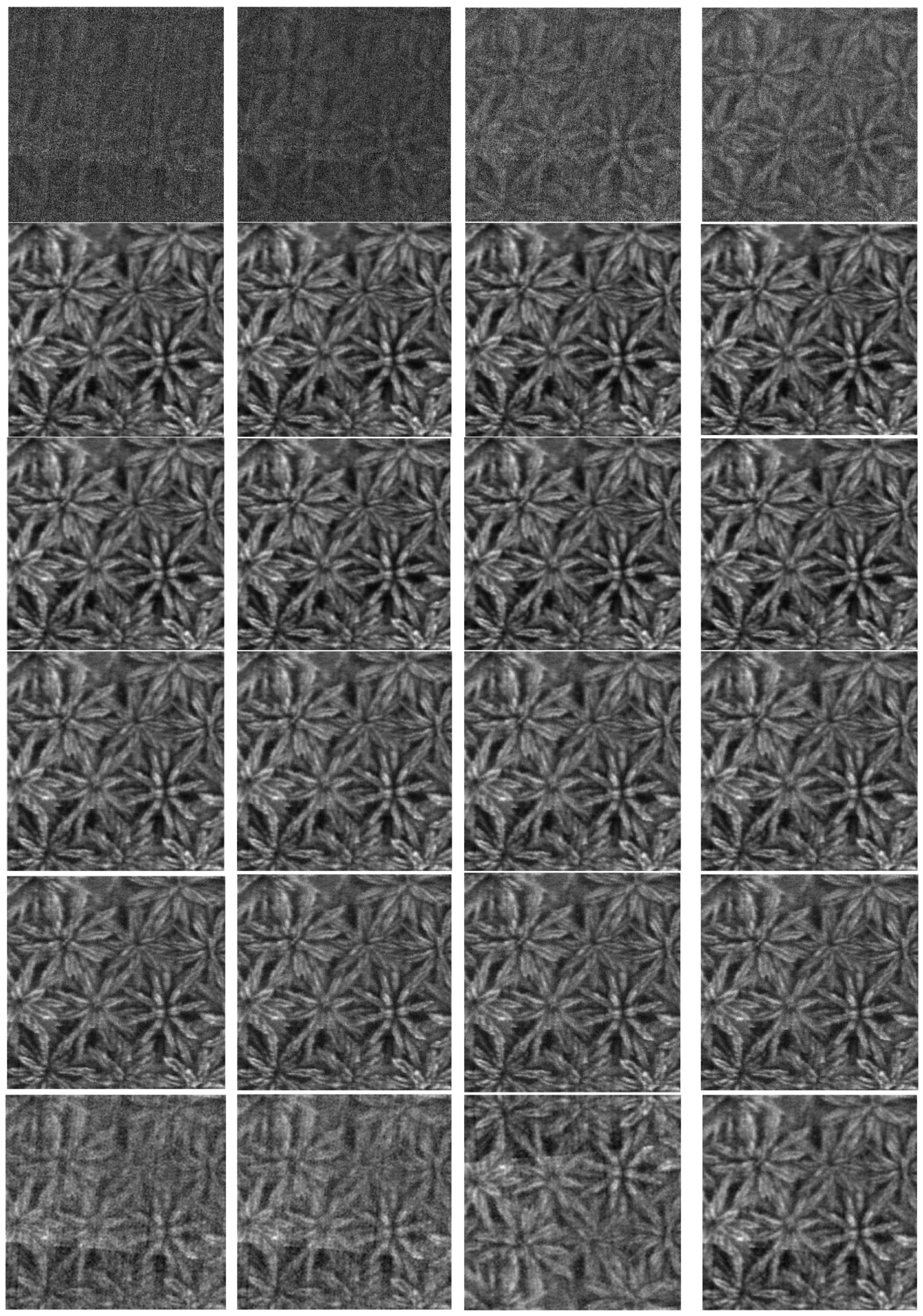 Agriculture 15 02149 g007 Agriculture 15 02149 g007