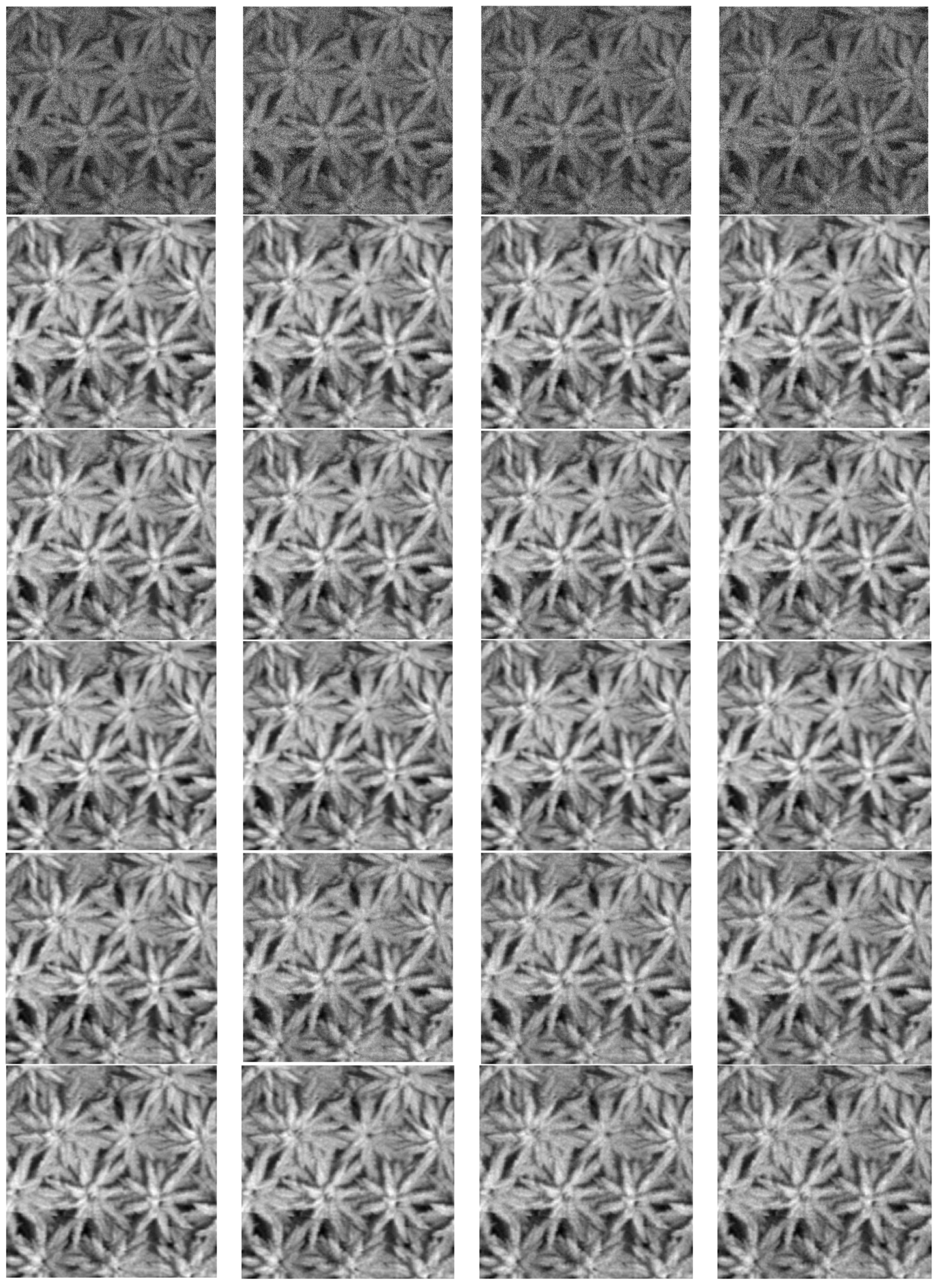 Agriculture 15 02149 g008 Agriculture 15 02149 g008