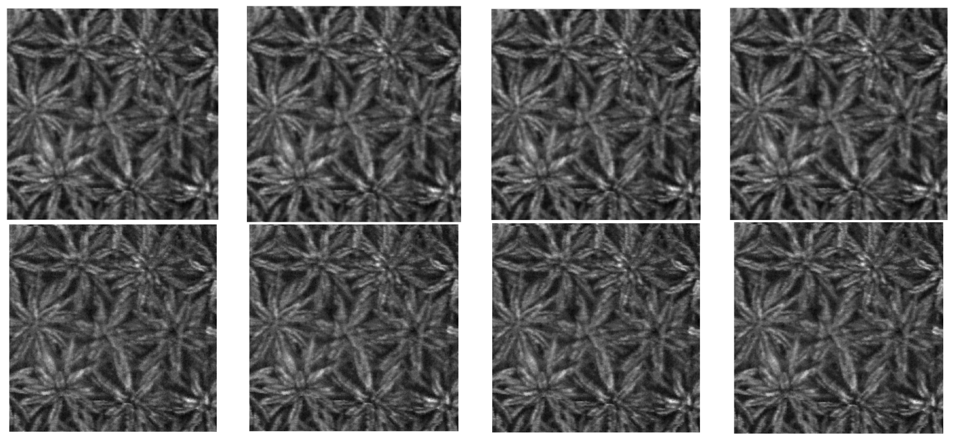 Agriculture 15 02149 g009b Agriculture 15 02149 g009b