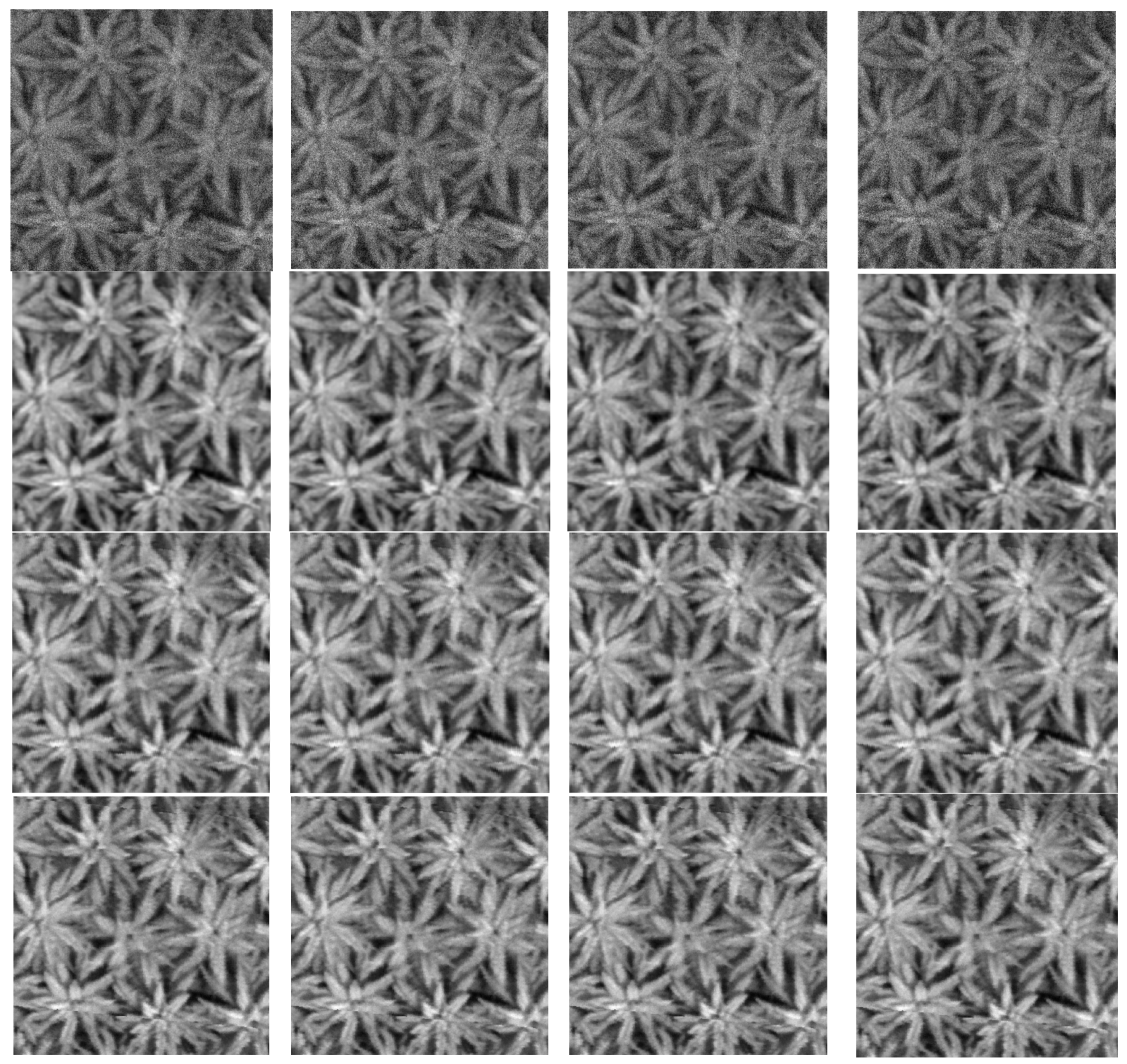 Agriculture 15 02149 g010 Agriculture 15 02149 g010