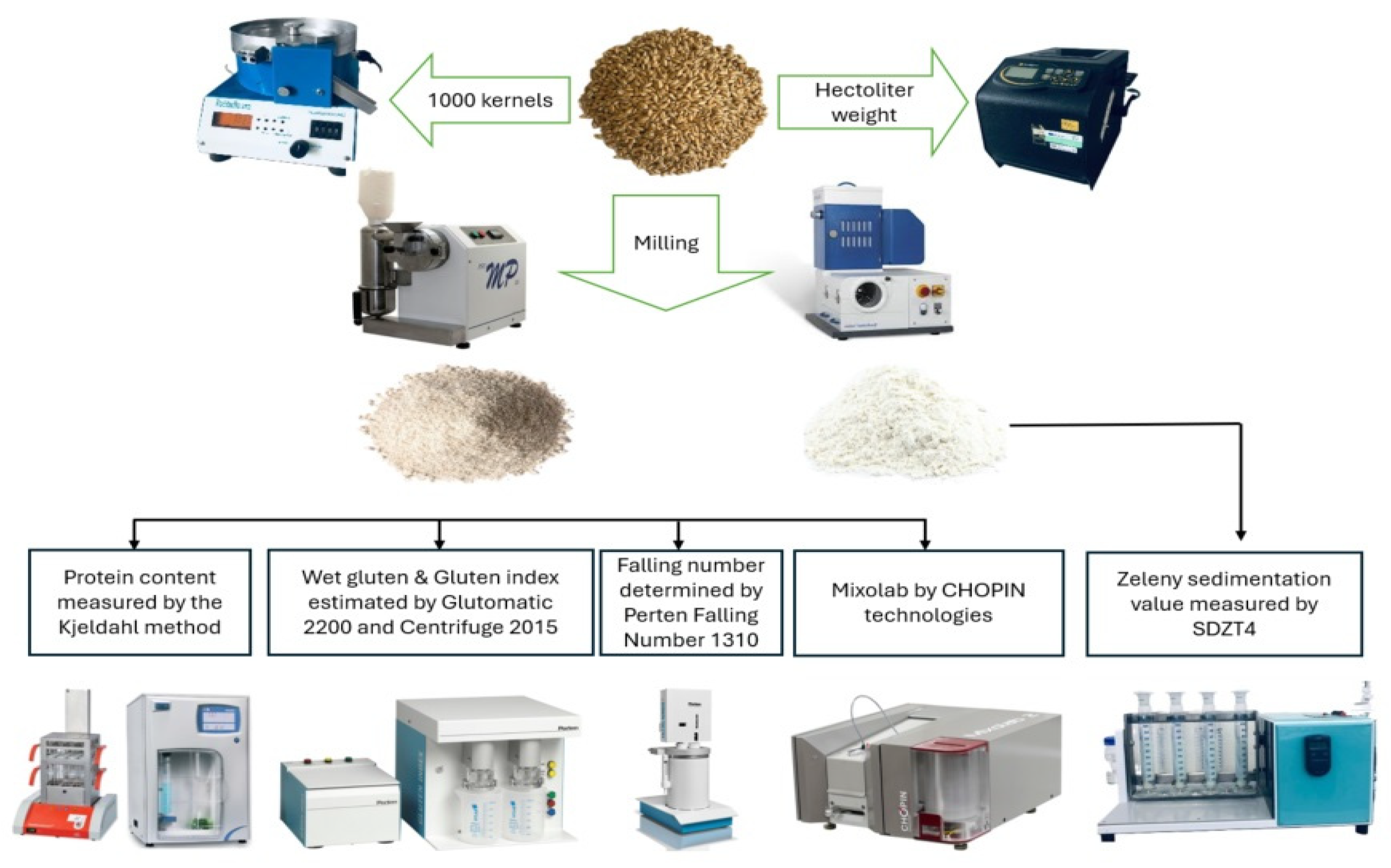 Agriculture 15 02160 g002