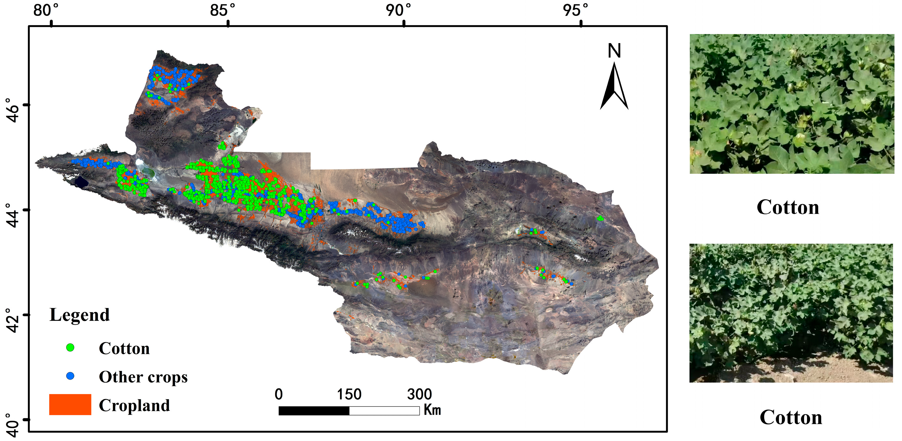 Agriculture 15 02163 g003