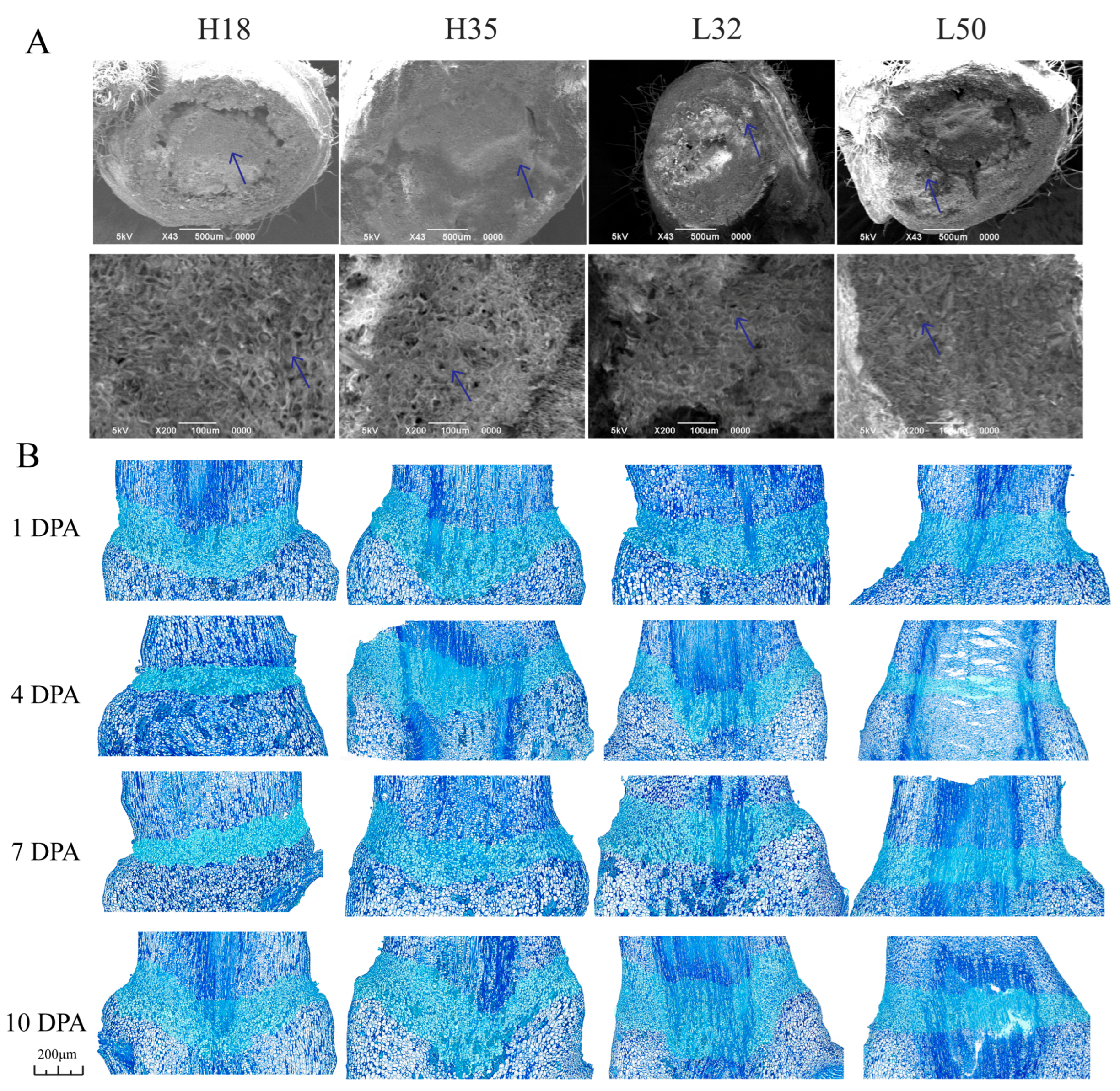 Agriculture 15 02166 g001