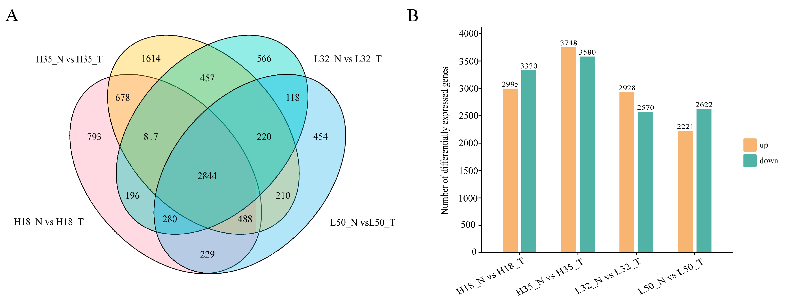 Agriculture 15 02166 g002