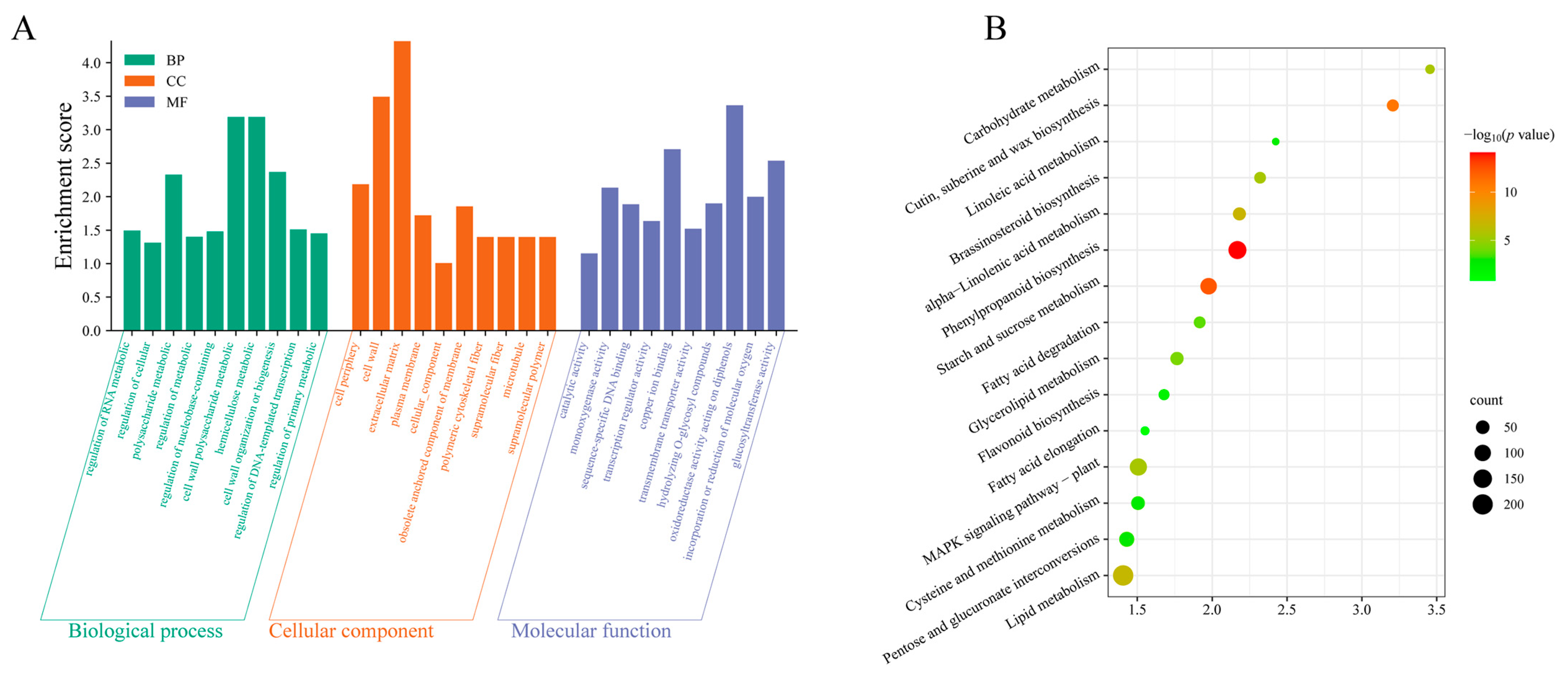 Agriculture 15 02166 g003
