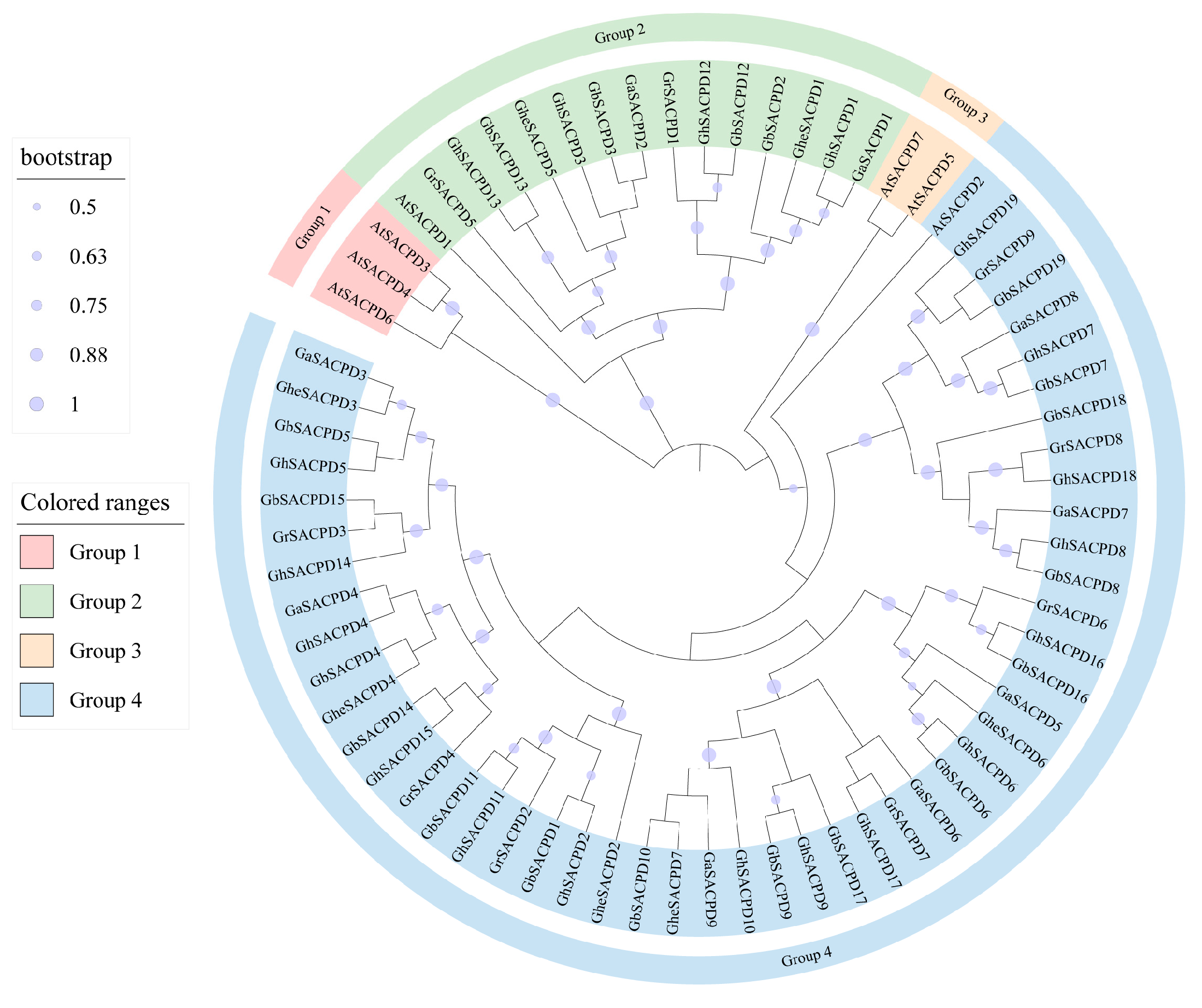Agriculture 15 02166 g005