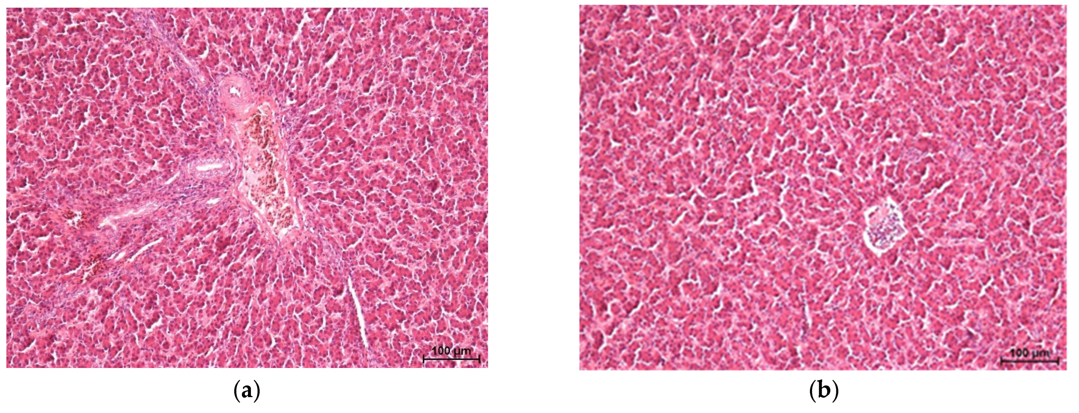 Agriculture 15 02171 g002a