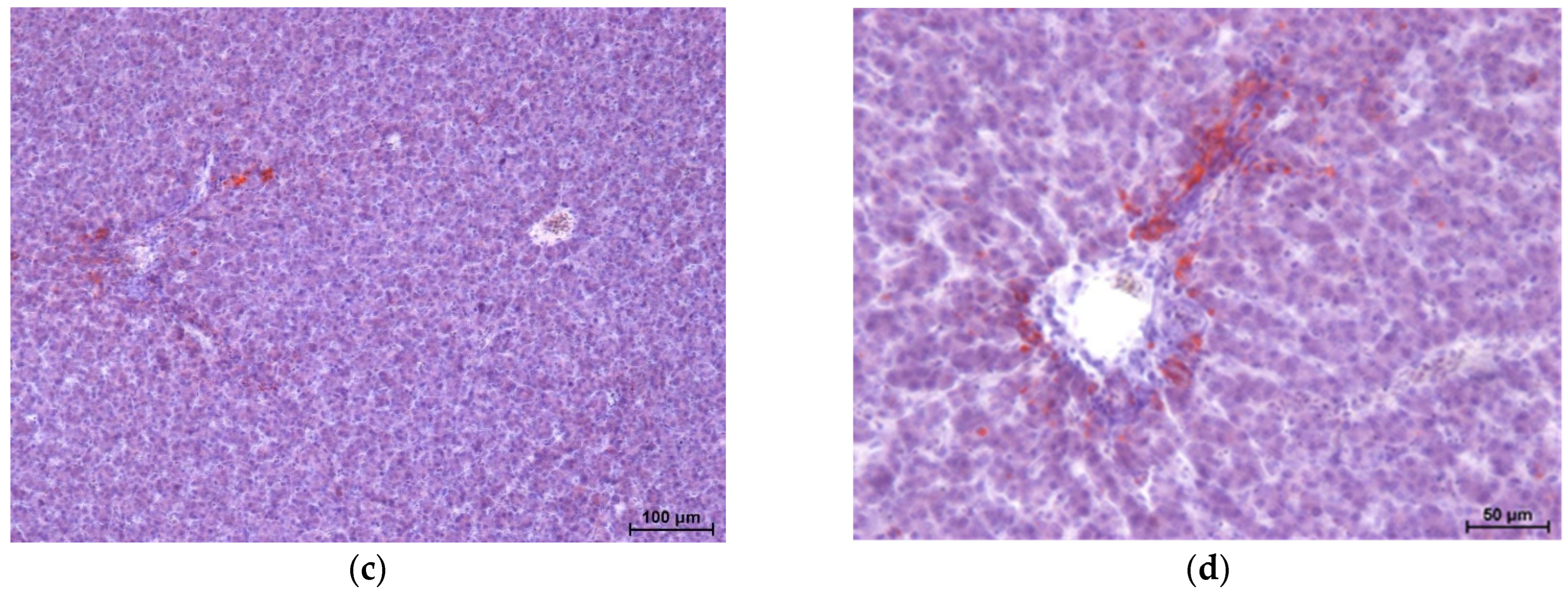 Agriculture 15 02171 g002b