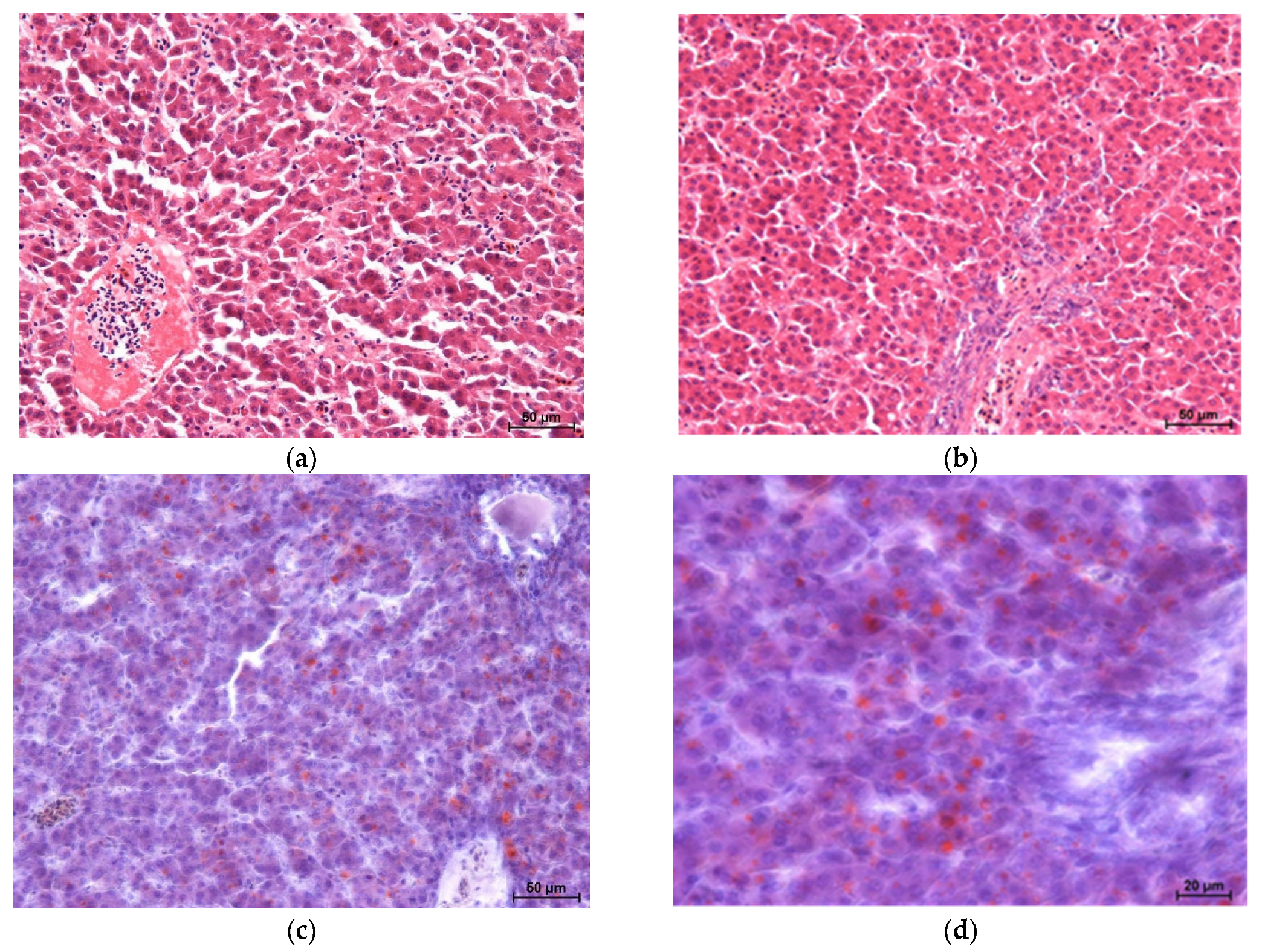 Agriculture 15 02171 g003