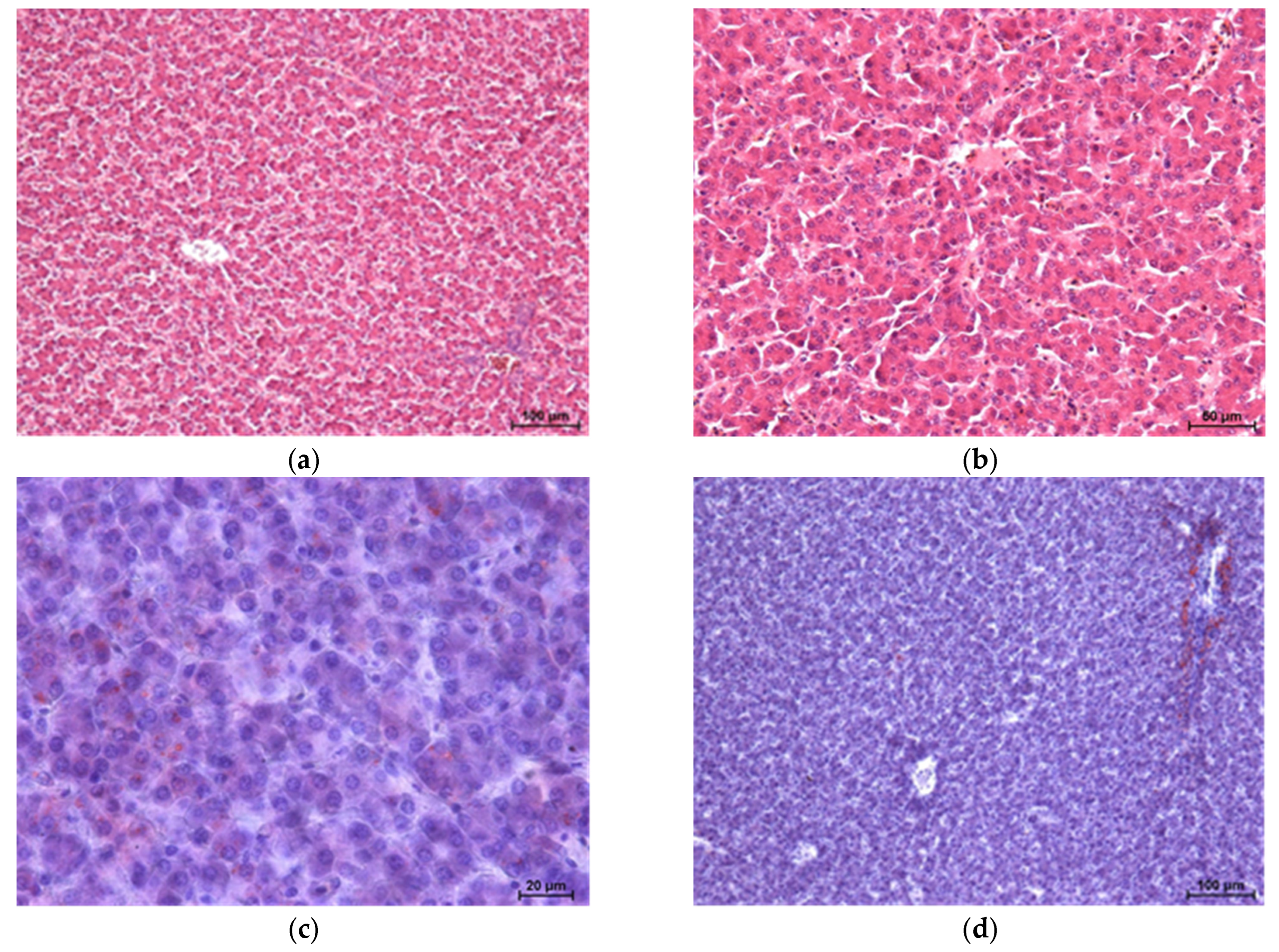 Agriculture 15 02171 g004