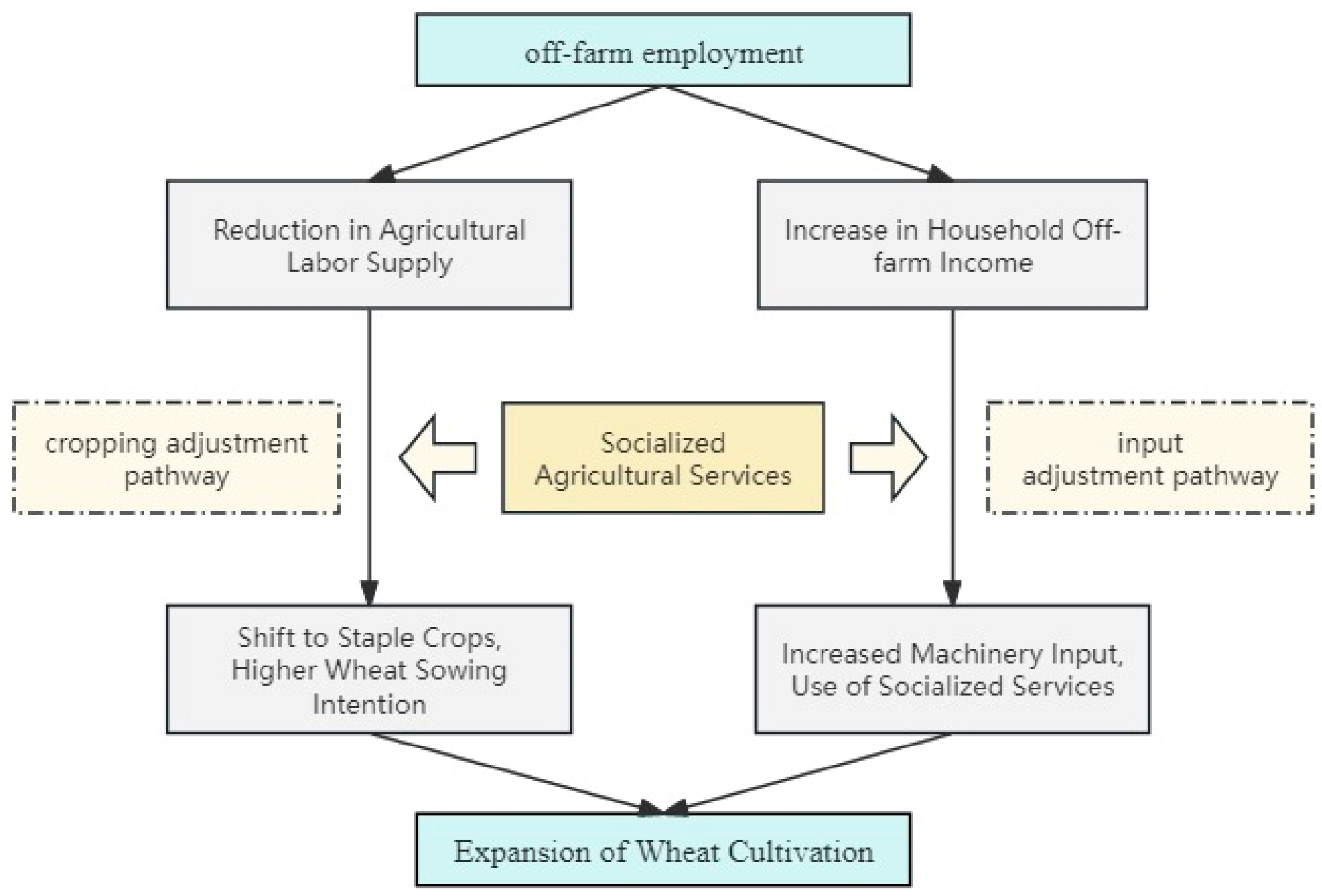 Agriculture 15 02175 g001