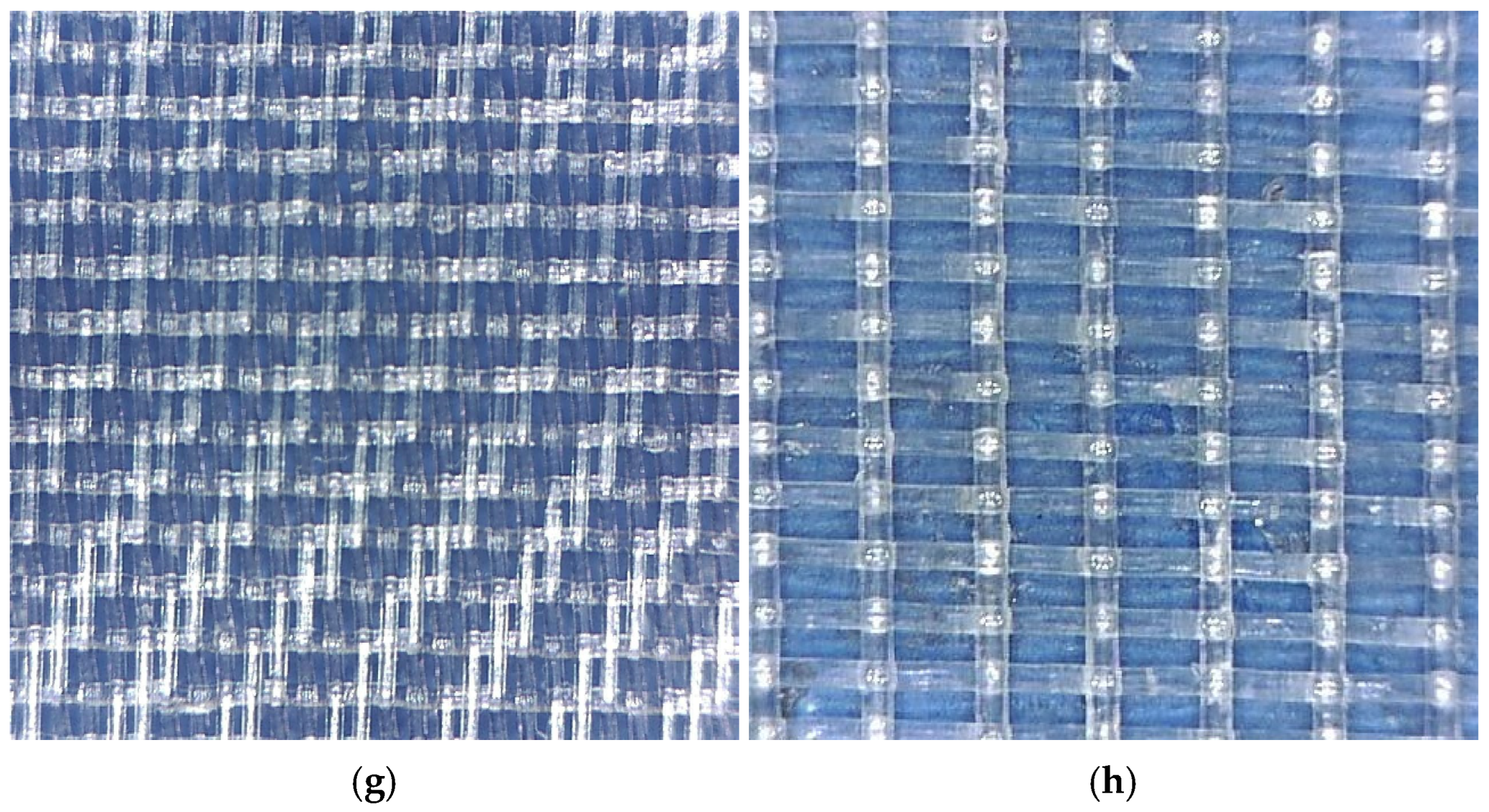 Agriculture 15 02194 g001b