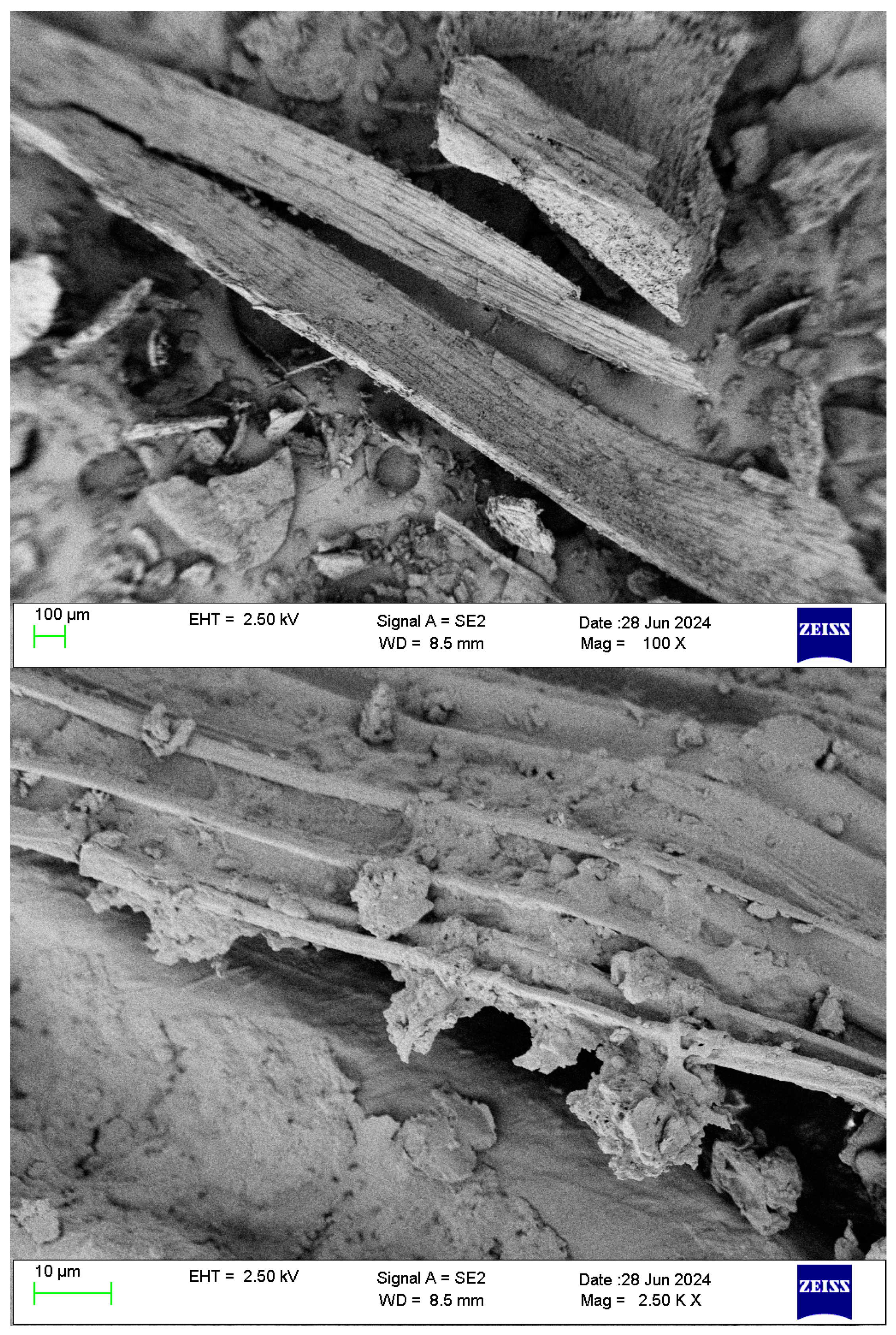 Agriculture 15 02204 g006 Agriculture 15 02204 g006