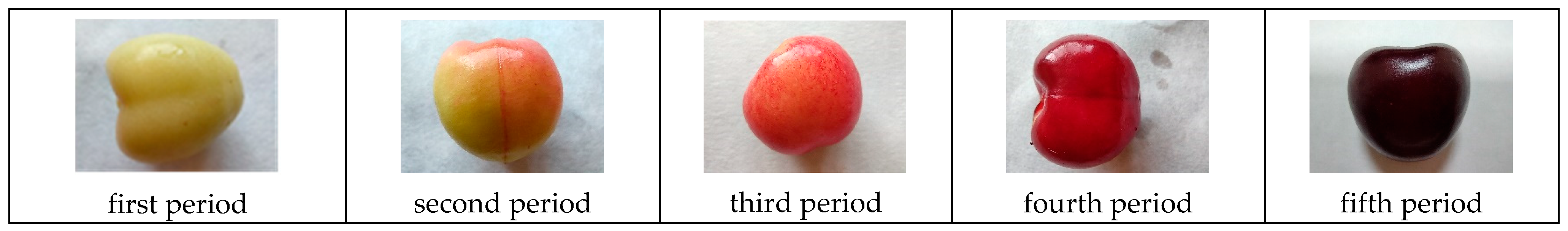 Agriculture 15 02207 g001