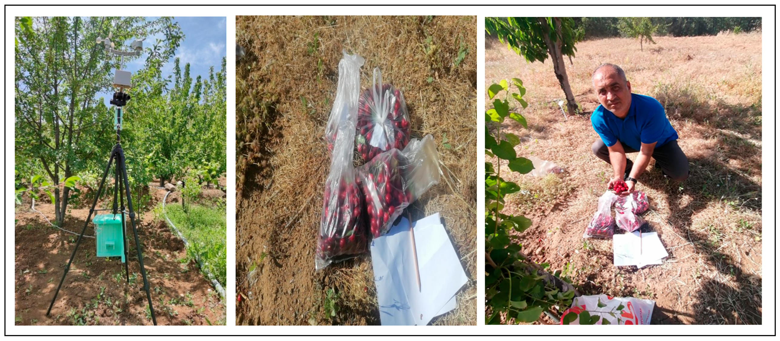 Agriculture 15 02207 g002