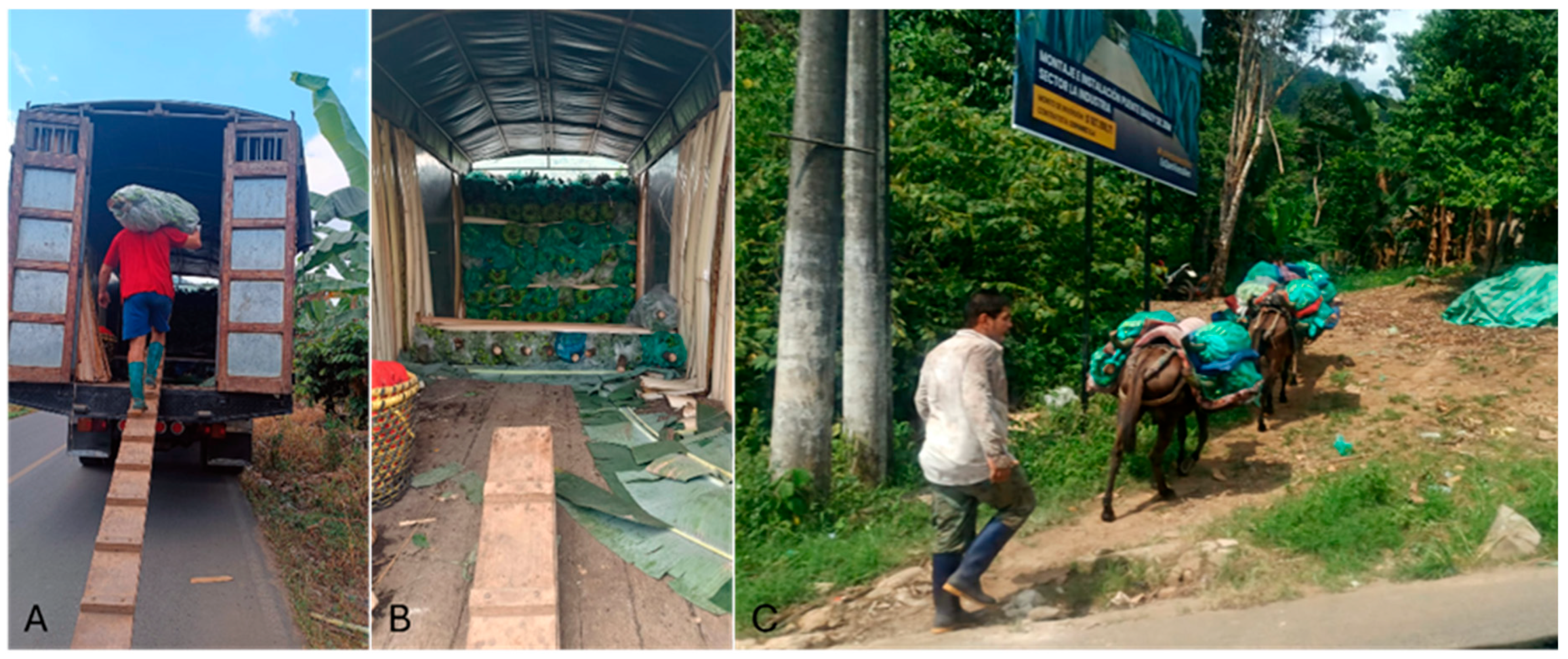 Agriculture 15 02208 g007