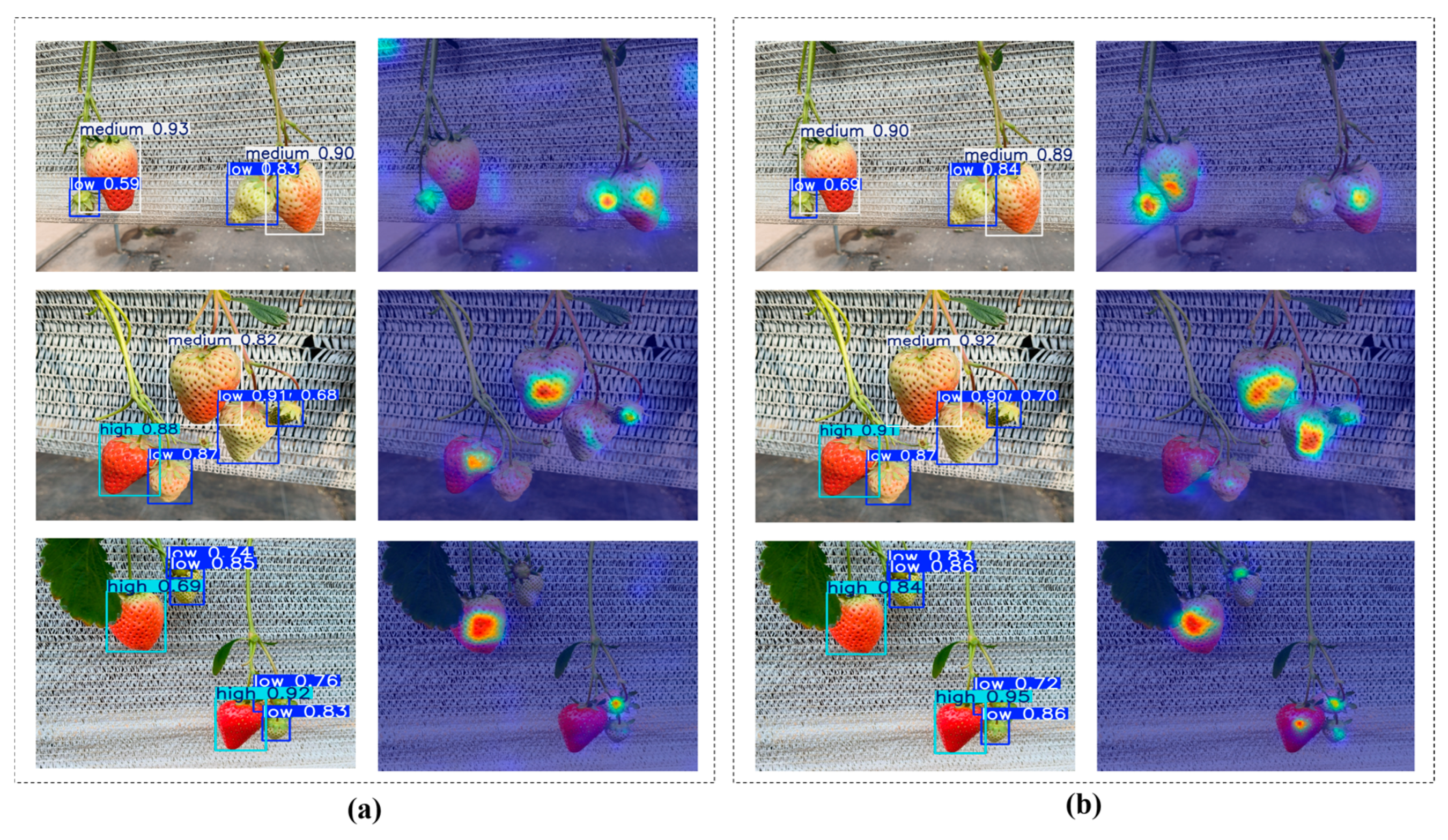 Agriculture 15 02212 g010