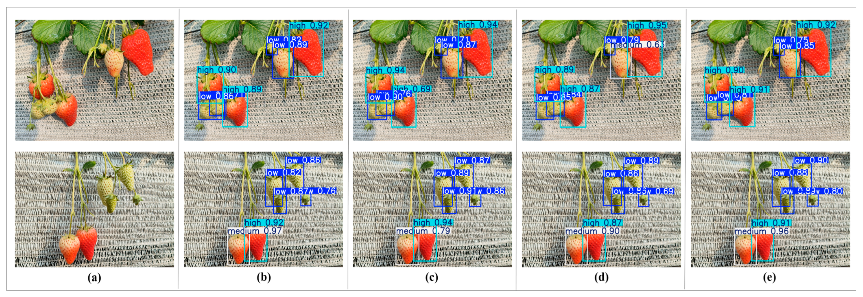 Agriculture 15 02212 g014