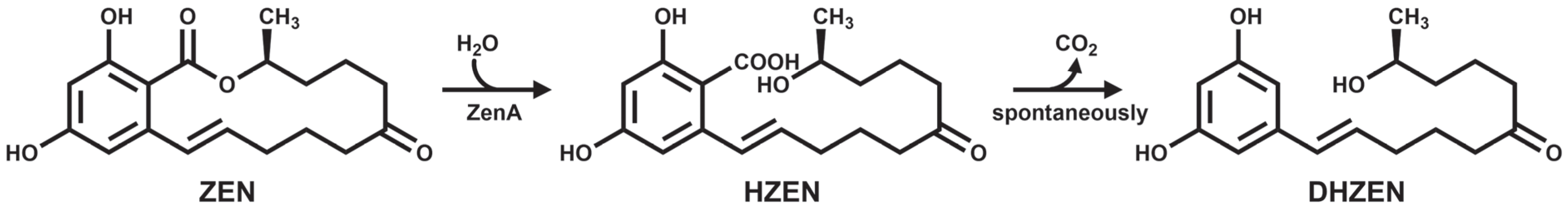 Agriculture 15 02217 g001 Agriculture 15 02217 g001