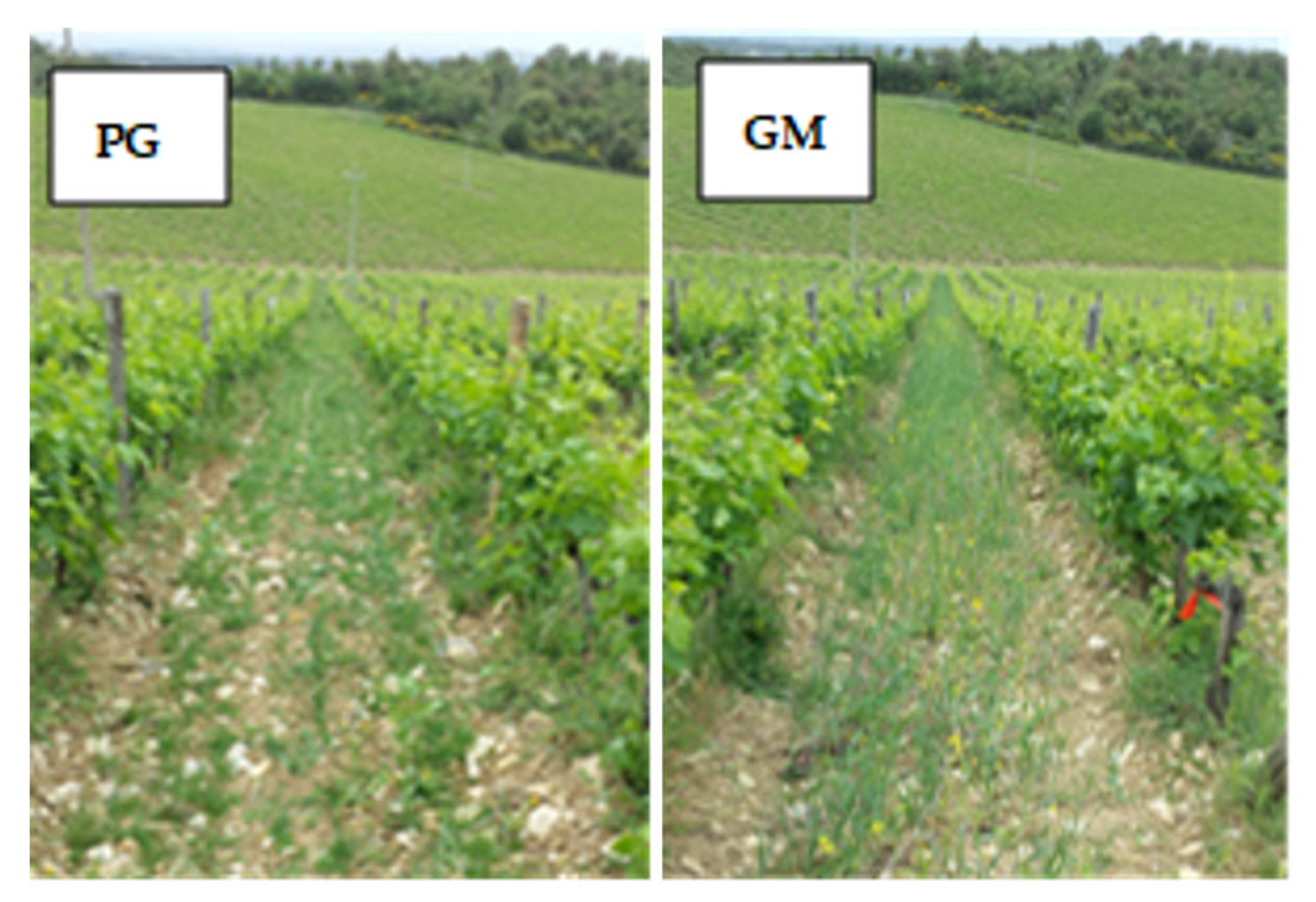 Agriculture 15 02218 g0a1 Agriculture 15 02218 g0a1