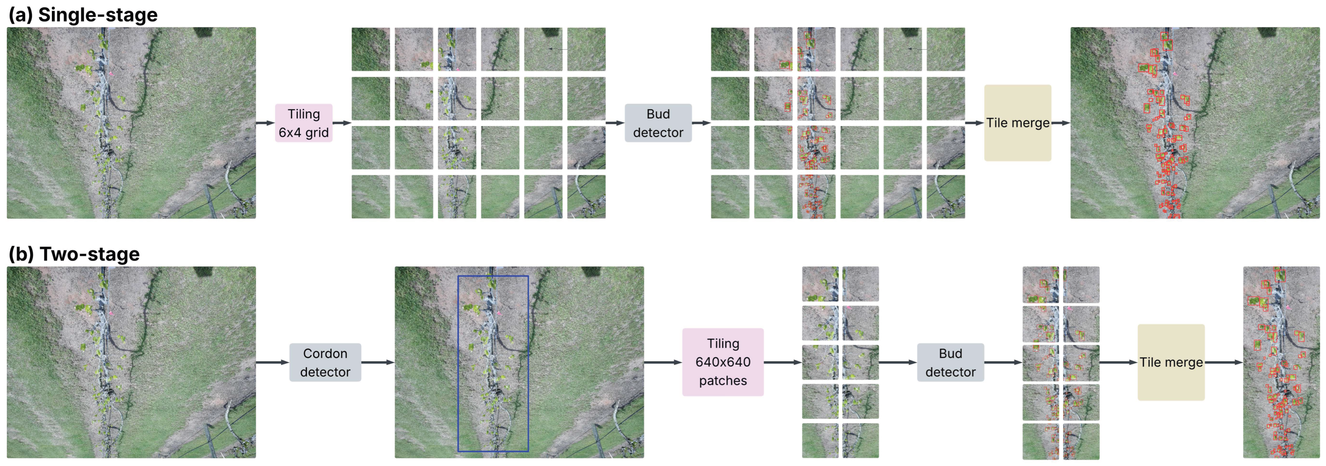 Agriculture 15 02220 g003