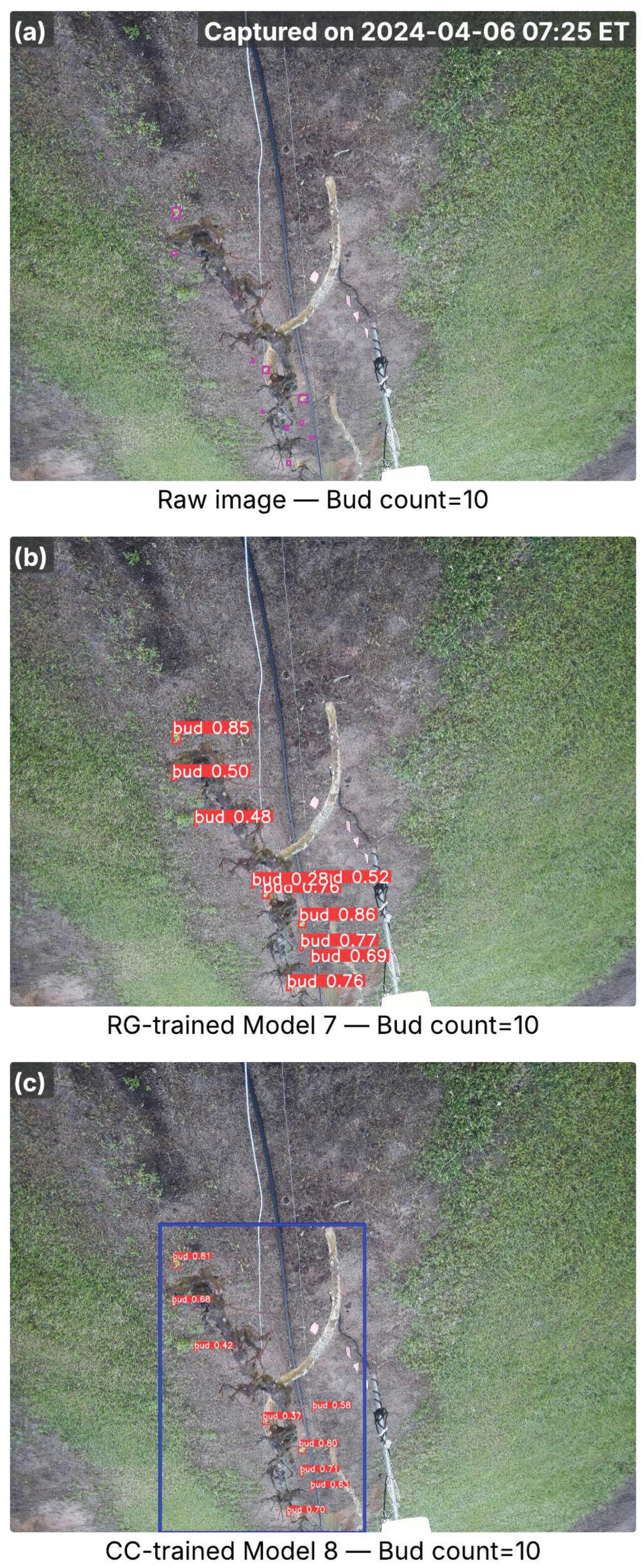 Agriculture 15 02220 g004