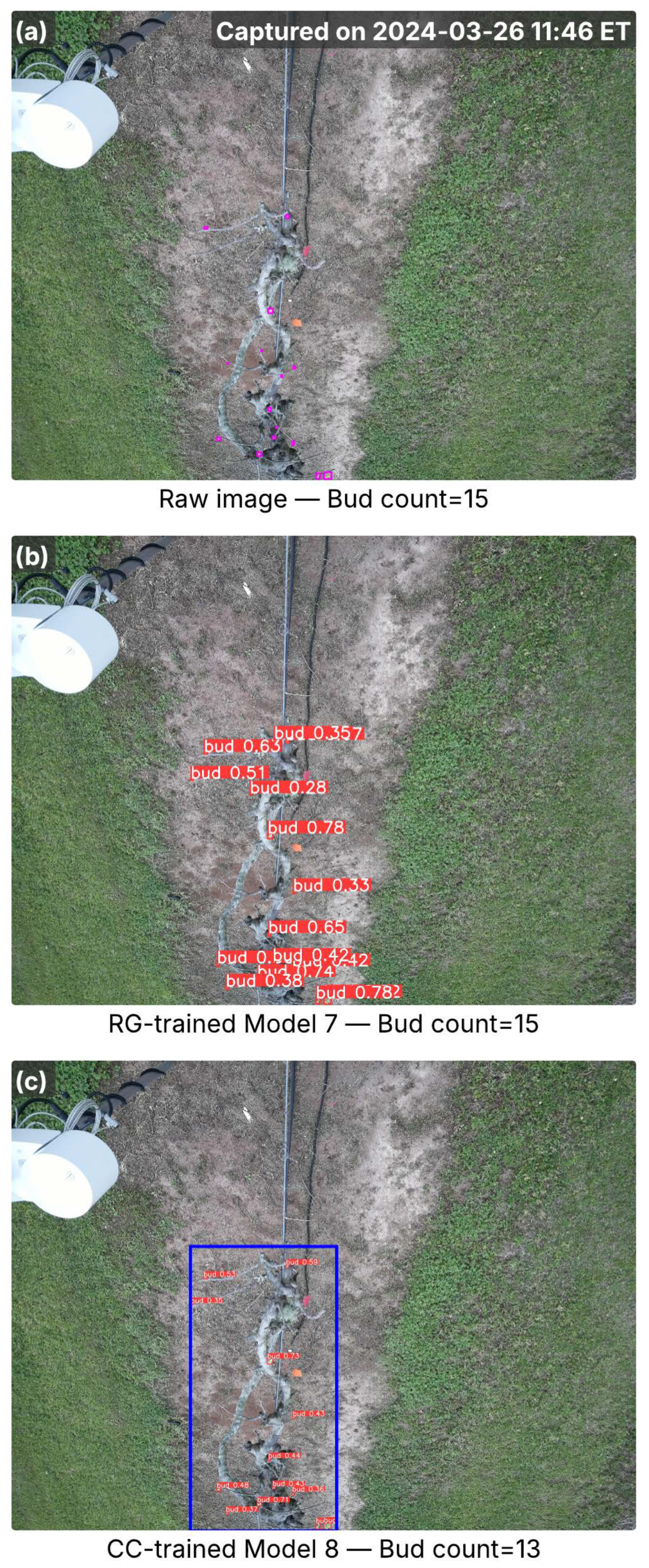 Agriculture 15 02220 g005