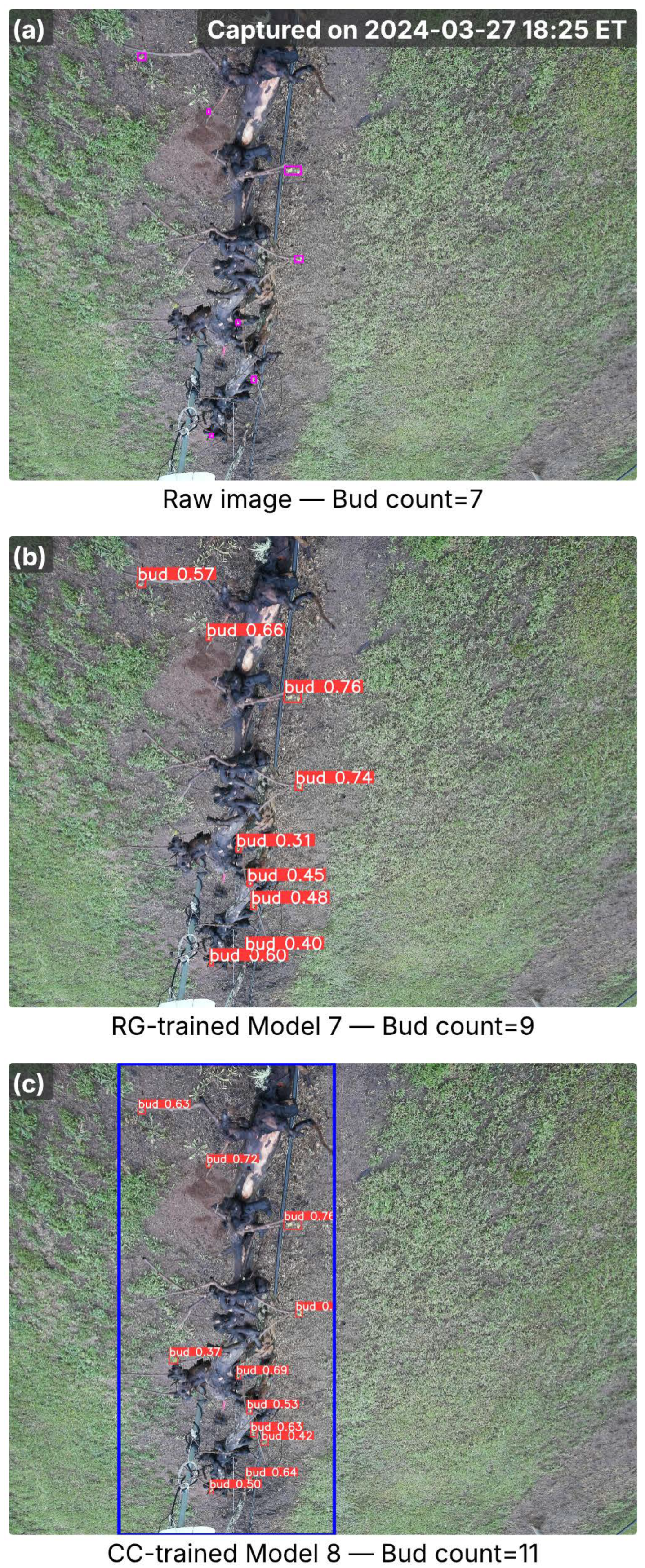 Agriculture 15 02220 g006