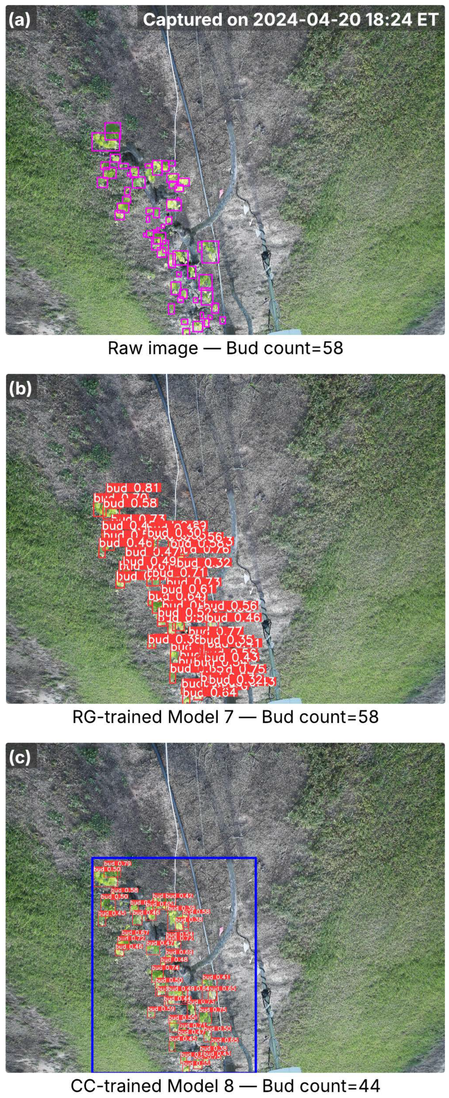 Agriculture 15 02220 g007