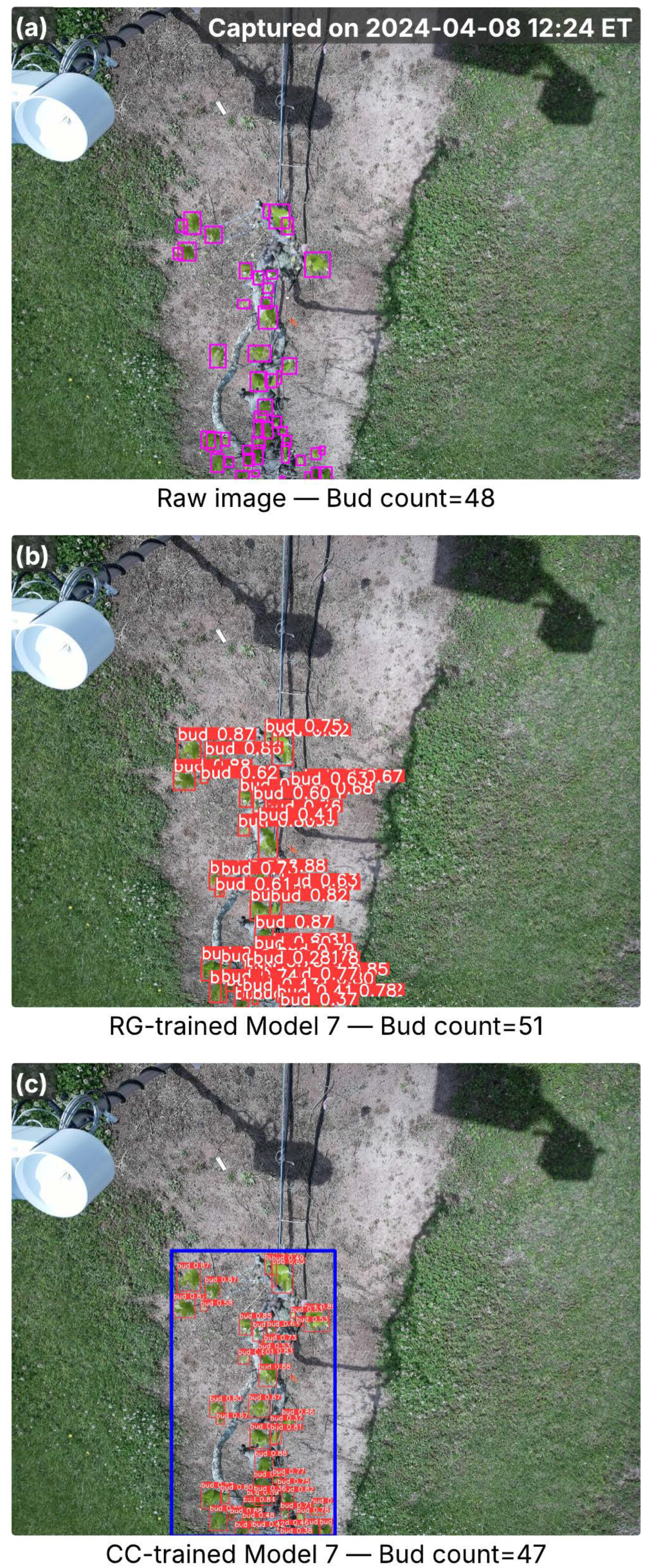 Agriculture 15 02220 g008