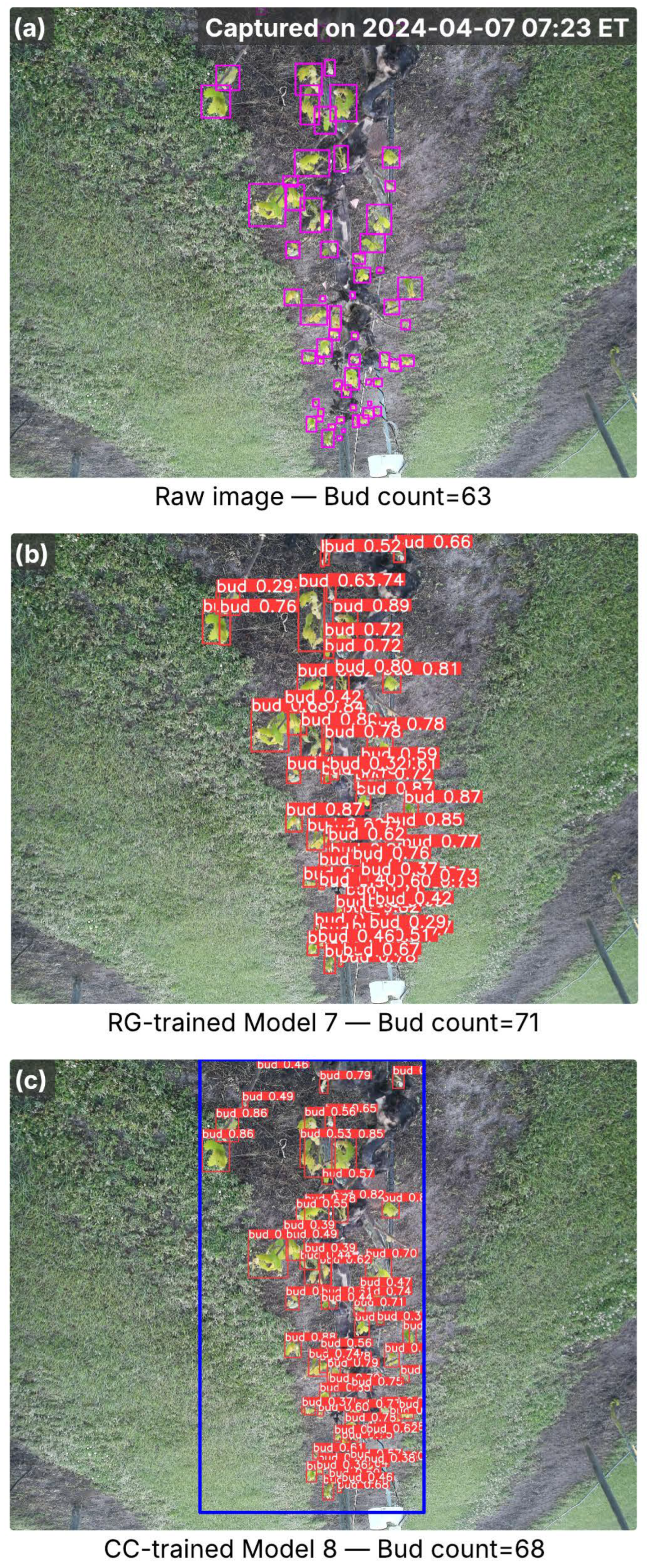 Agriculture 15 02220 g009