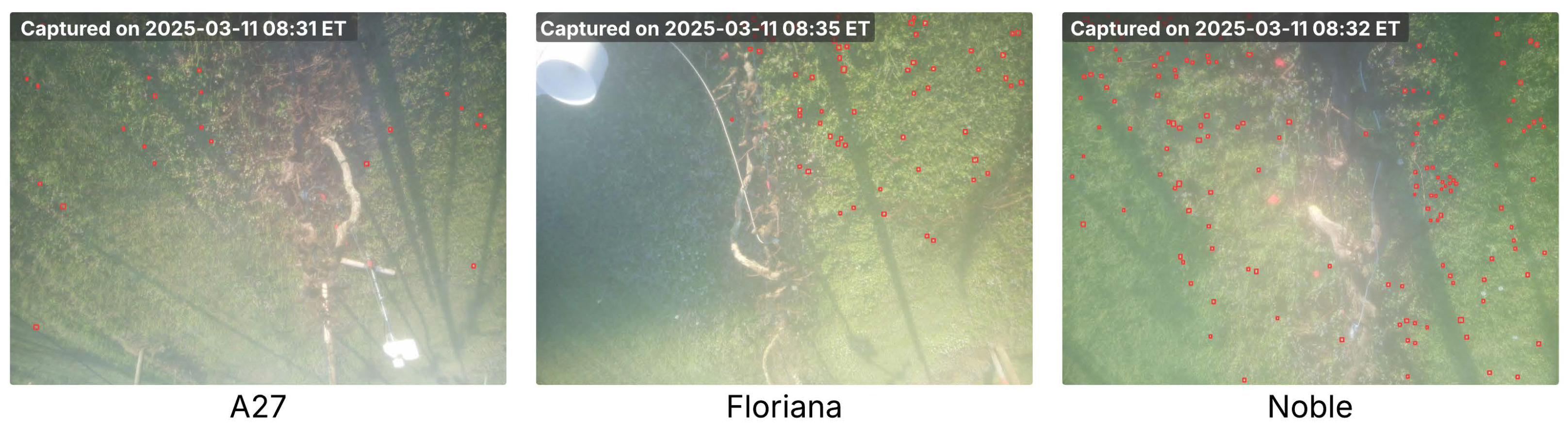 Agriculture 15 02220 g012