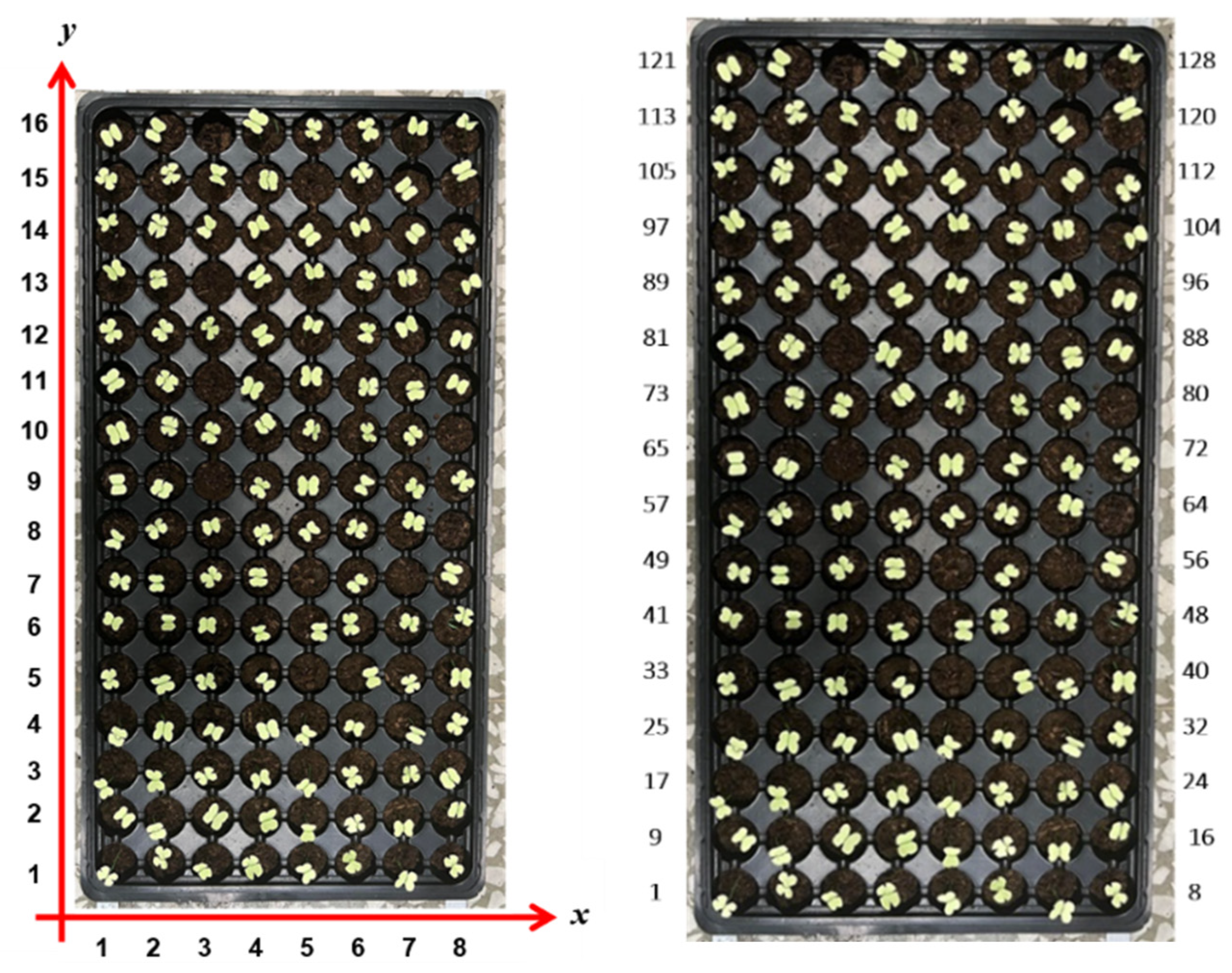 Agriculture 15 02227 g012