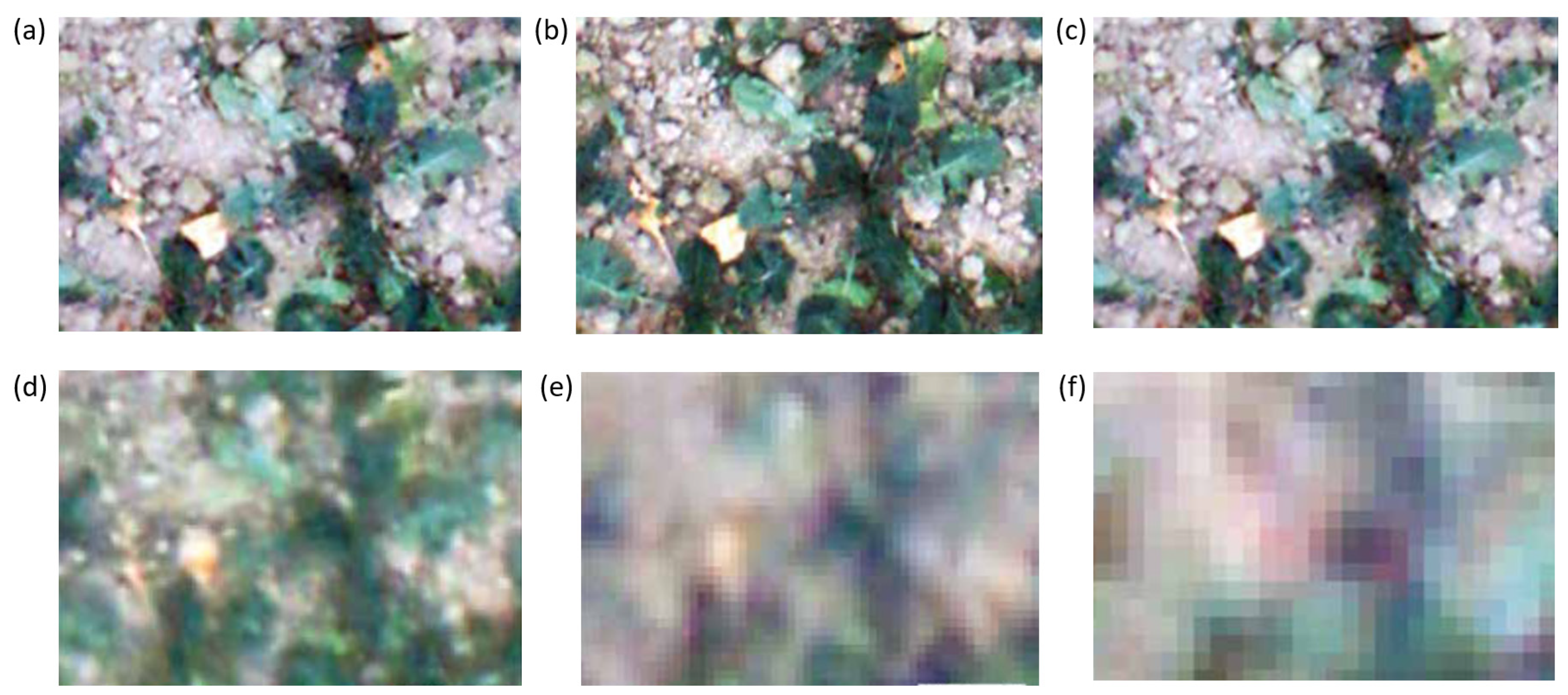 Agriculture 15 02233 g003