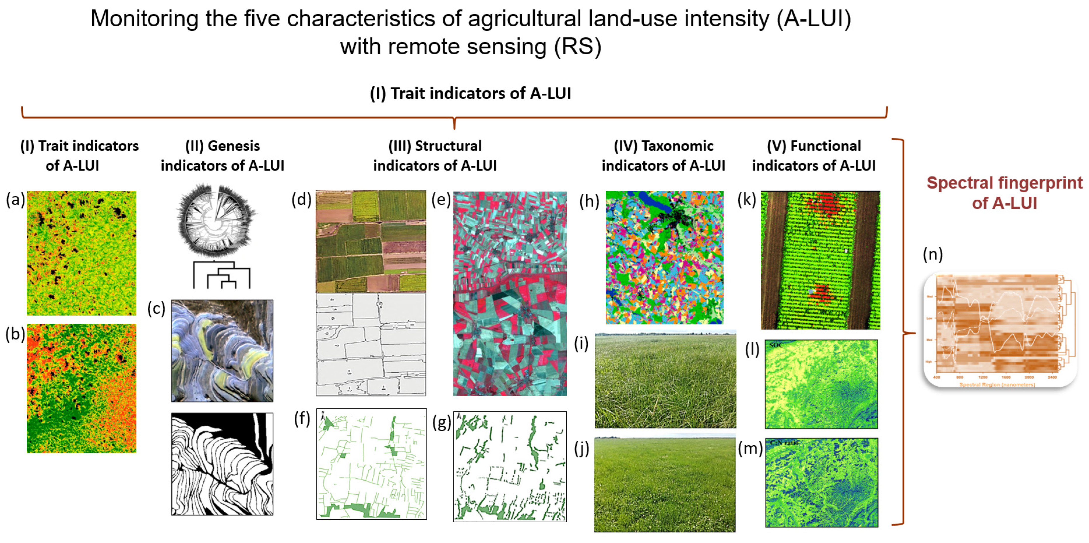 Agriculture 15 02233 g005
