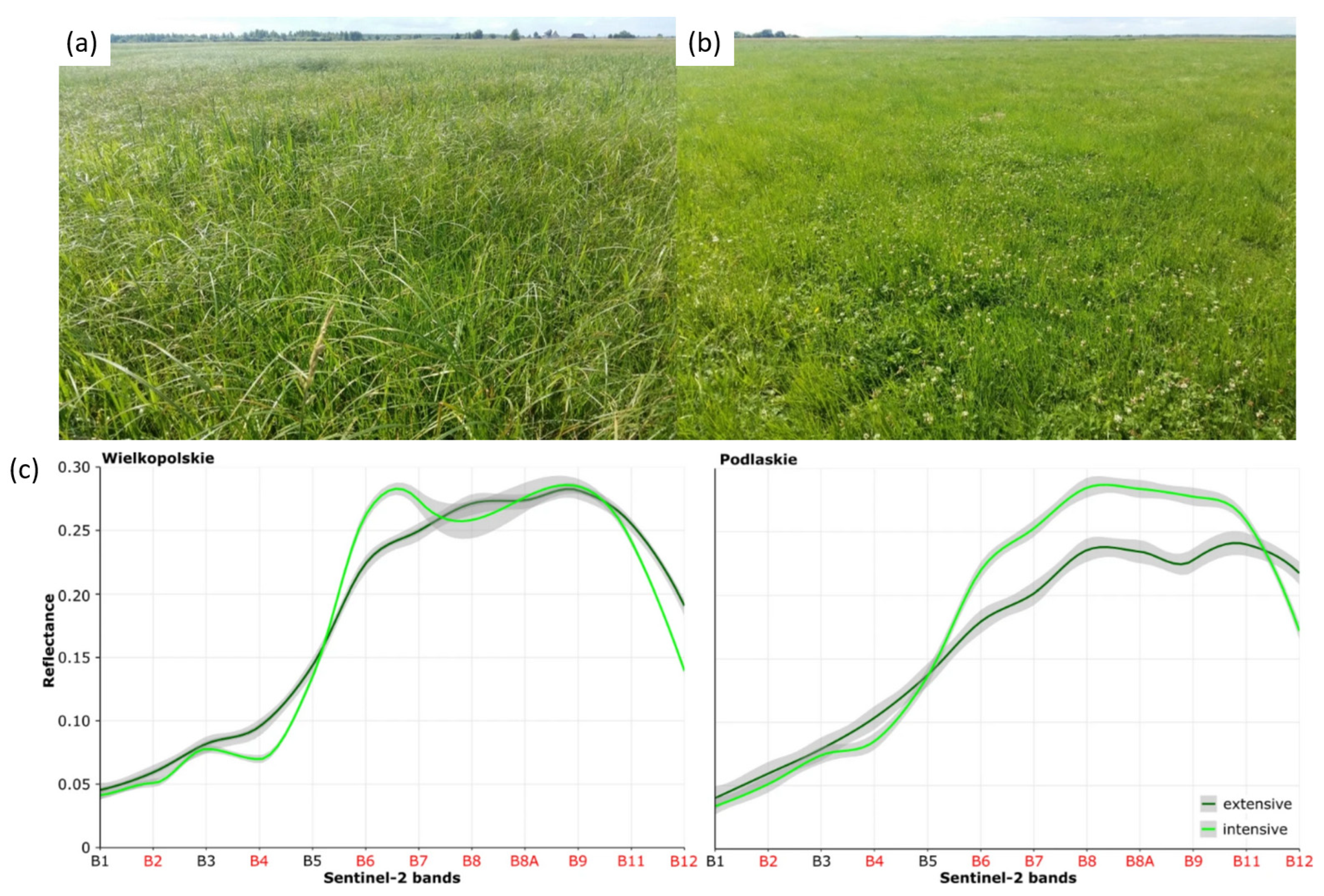 Agriculture 15 02233 g019