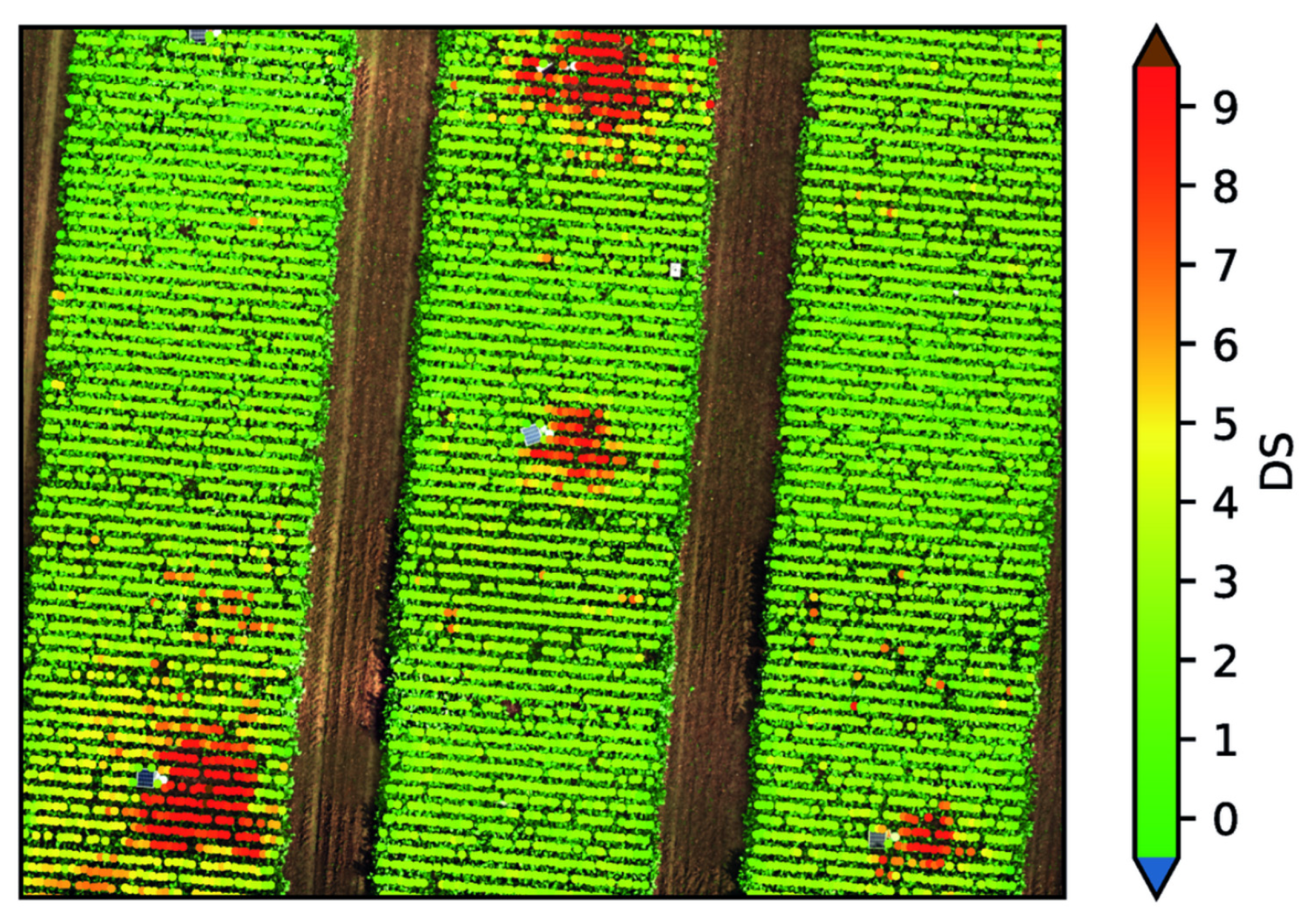 Agriculture 15 02233 g021